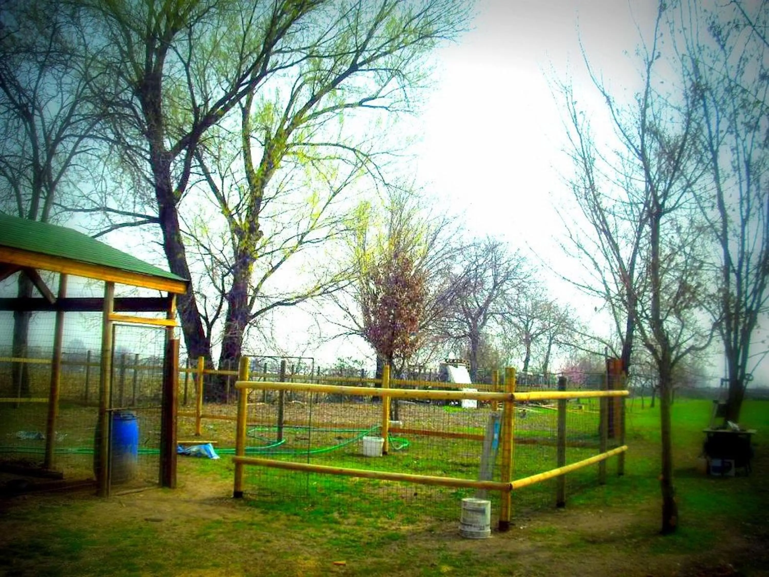 Other in La Garzaga Turismo Rurale