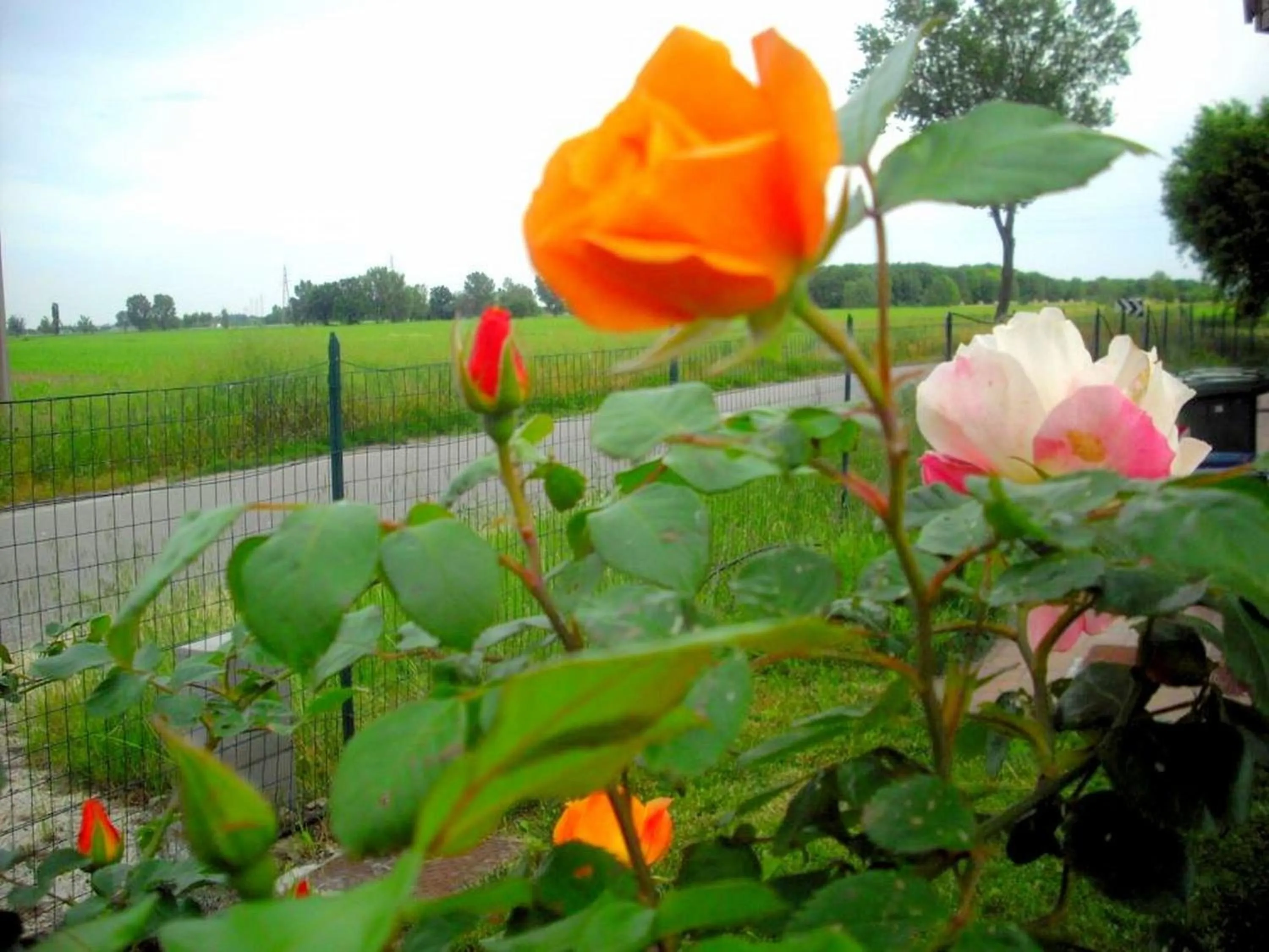 Decorative detail in La Garzaga Turismo Rurale