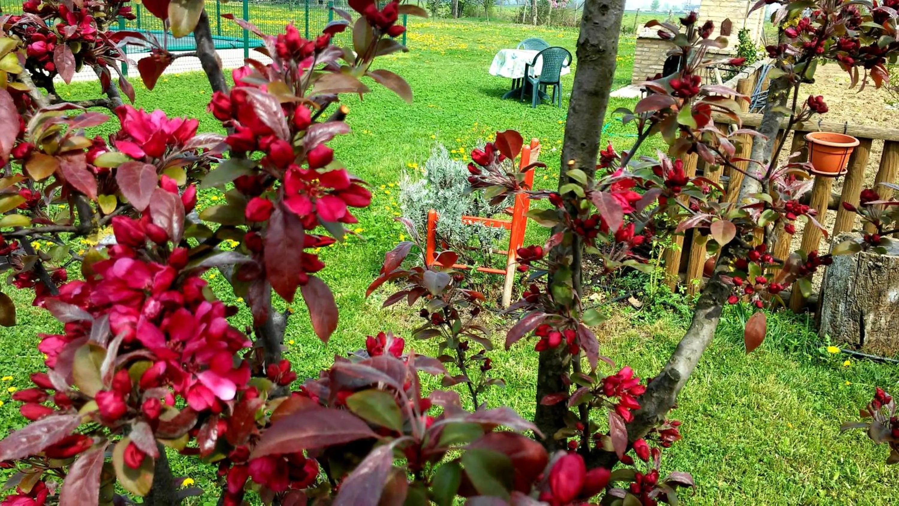 Decorative detail in La Garzaga Turismo Rurale