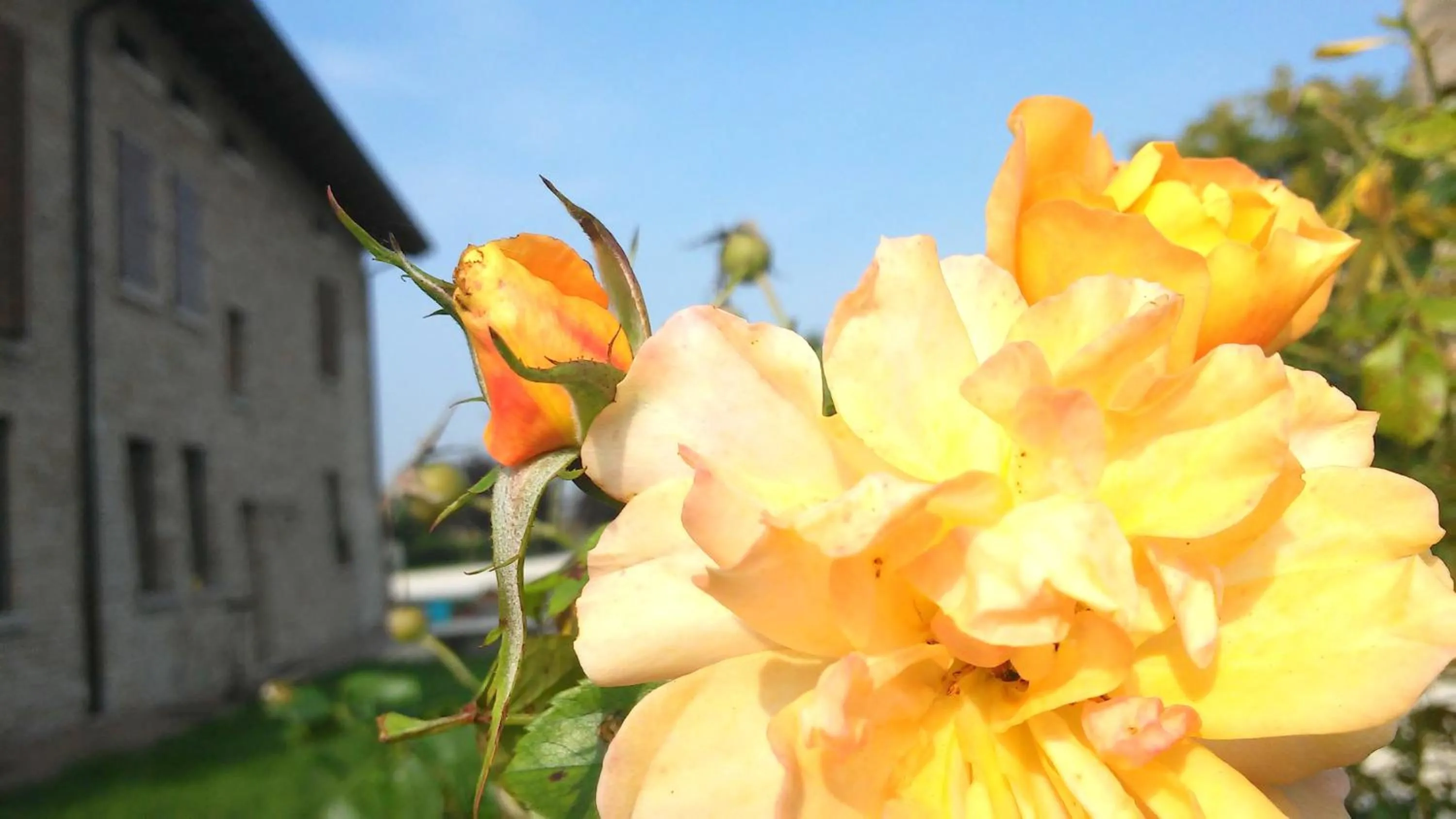 Garden in La Garzaga Turismo Rurale