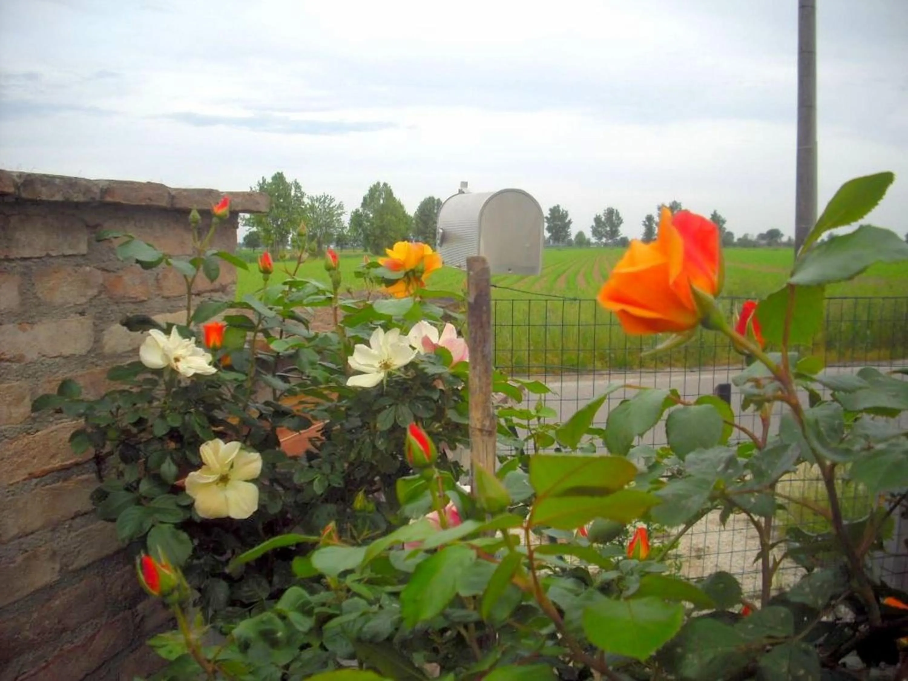 Spring in La Garzaga Turismo Rurale