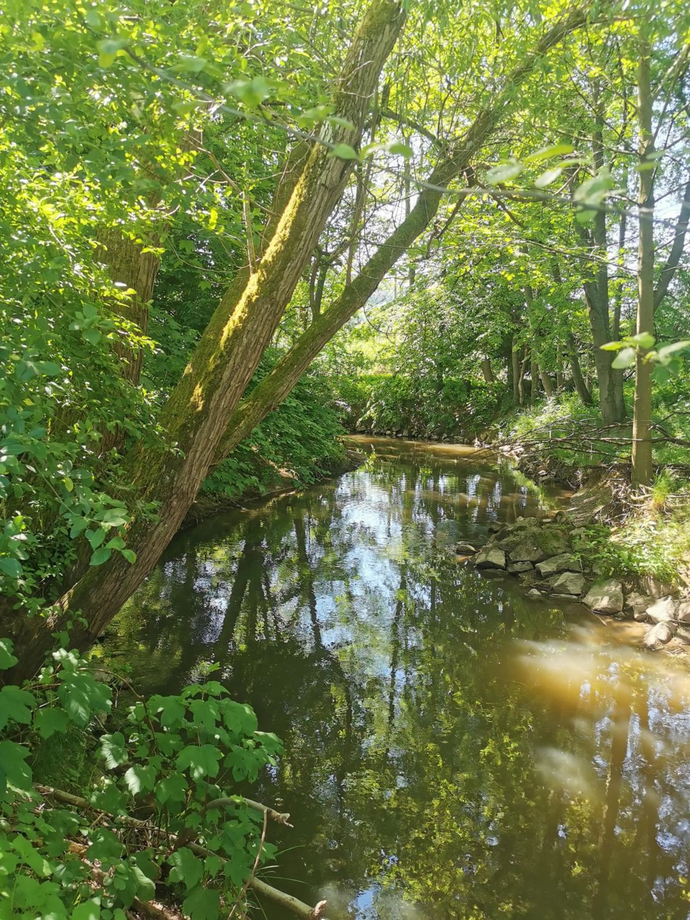 Staff in Landhotel Ölmühle