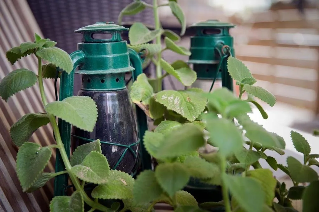 Other in Central Hotel Bonaire