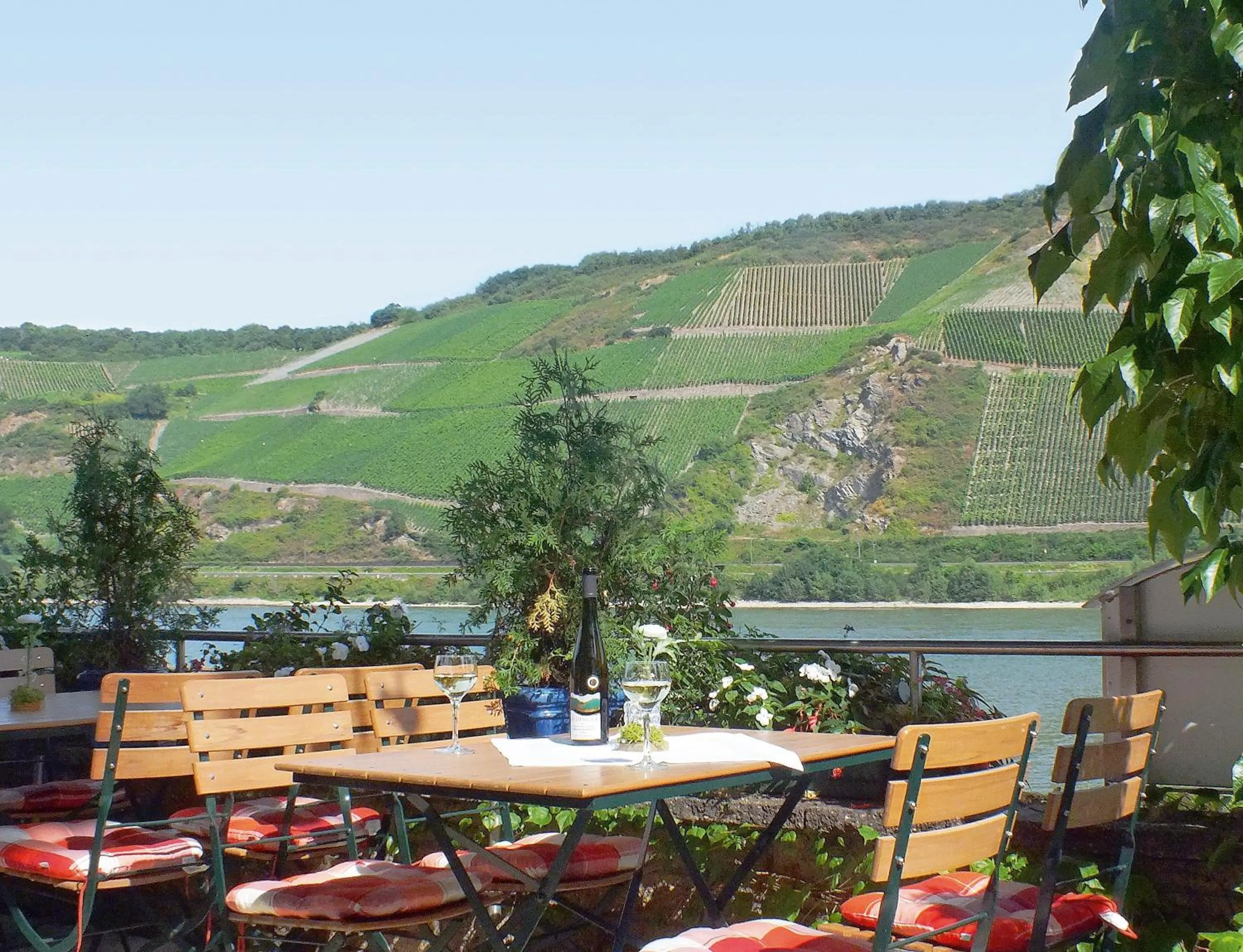 River view in Lindenhof