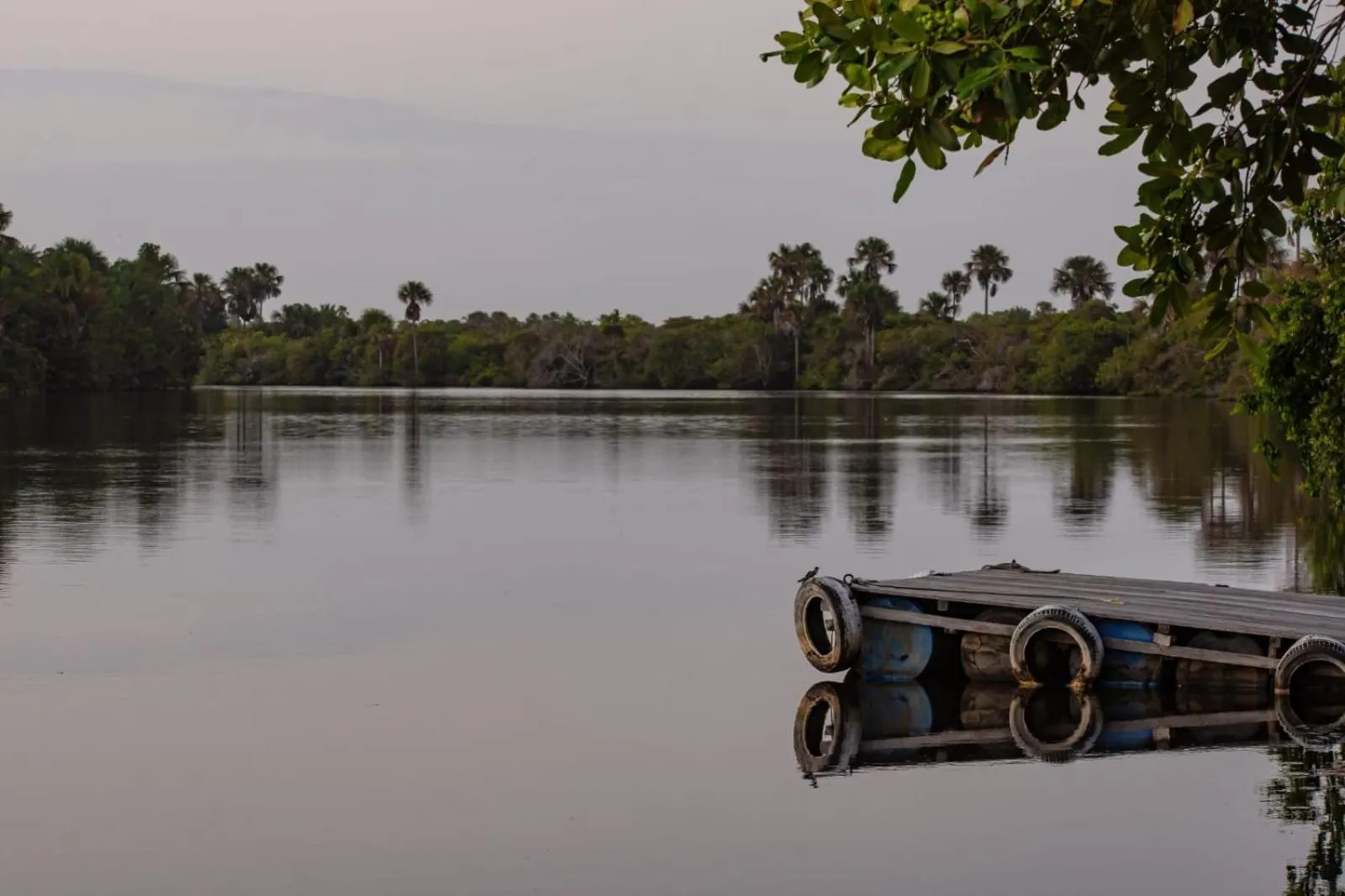 Natural landscape in Orla Nautica