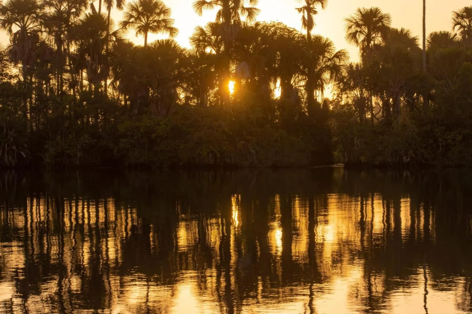 River view in Orla Nautica