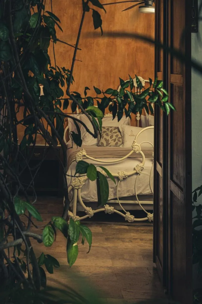 Patio in Hotel Boutique Casa Del Arzobispado