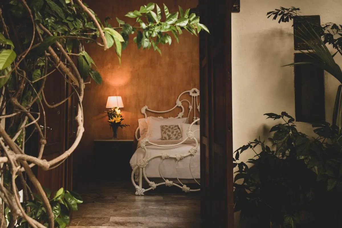 Garden view in Hotel Boutique Casa Del Arzobispado