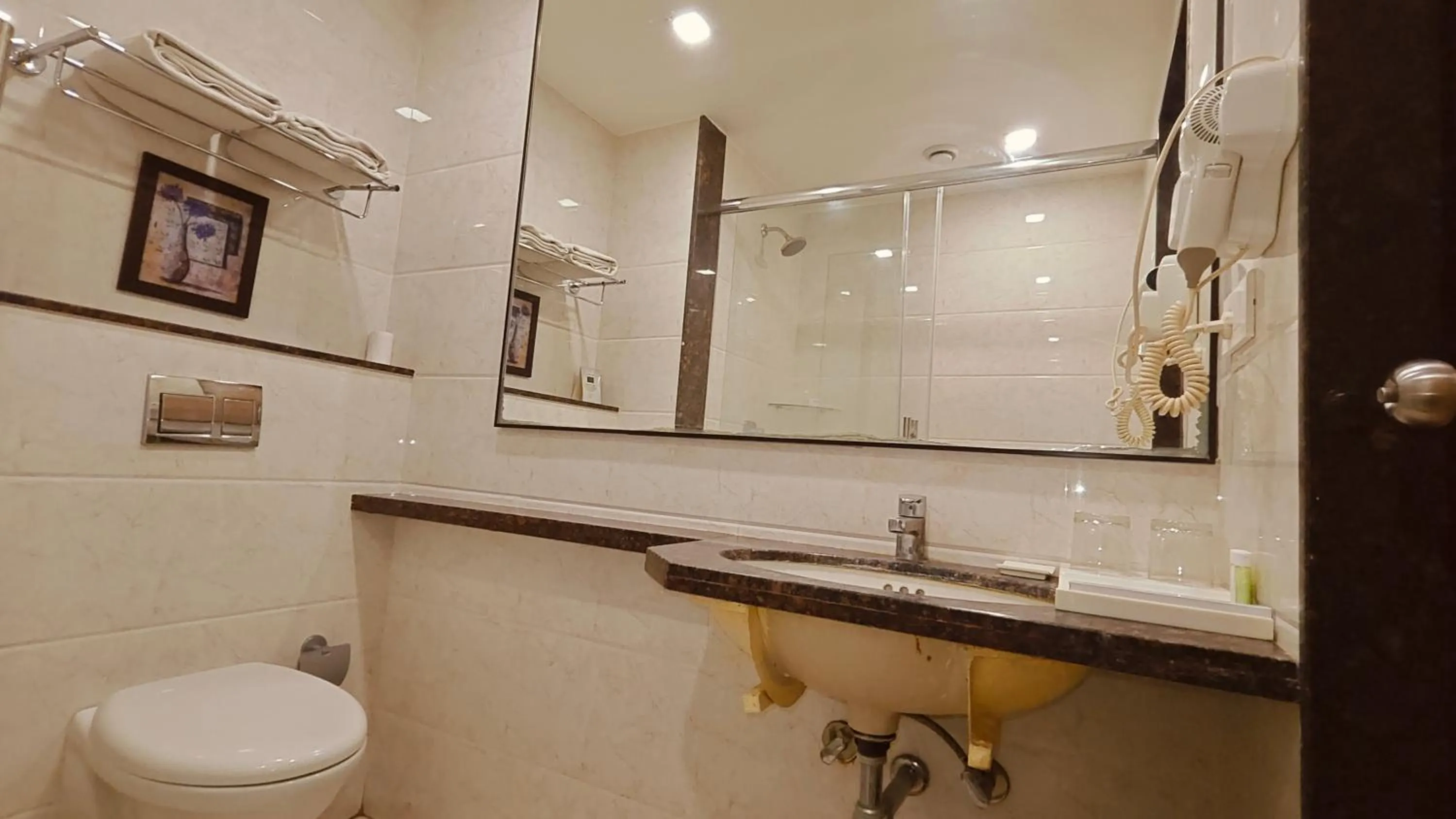 Shower in ASR Parklane, A Bergamont Hotel - Hosur