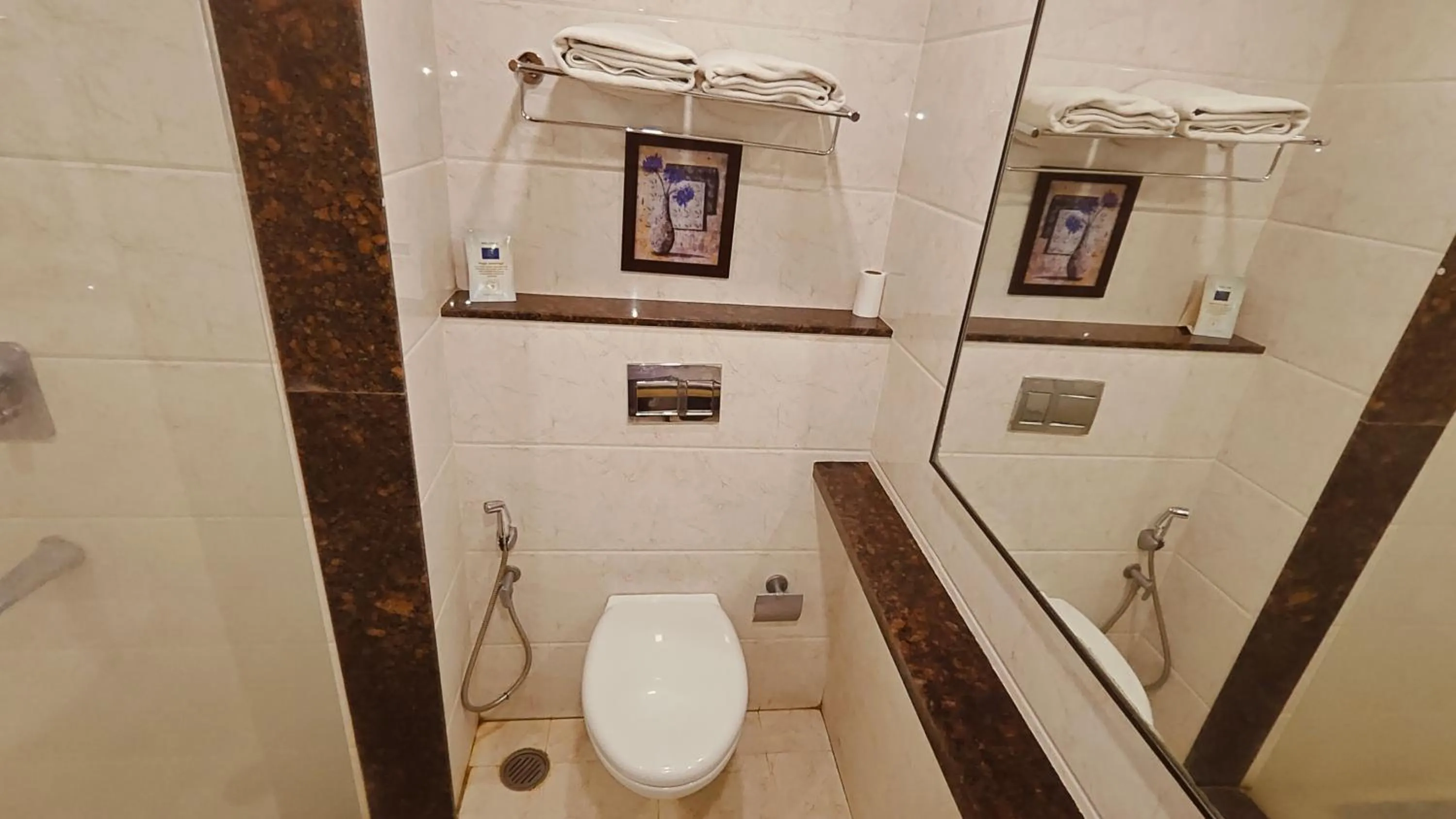 Toilet in ASR Parklane, A Bergamont Hotel - Hosur