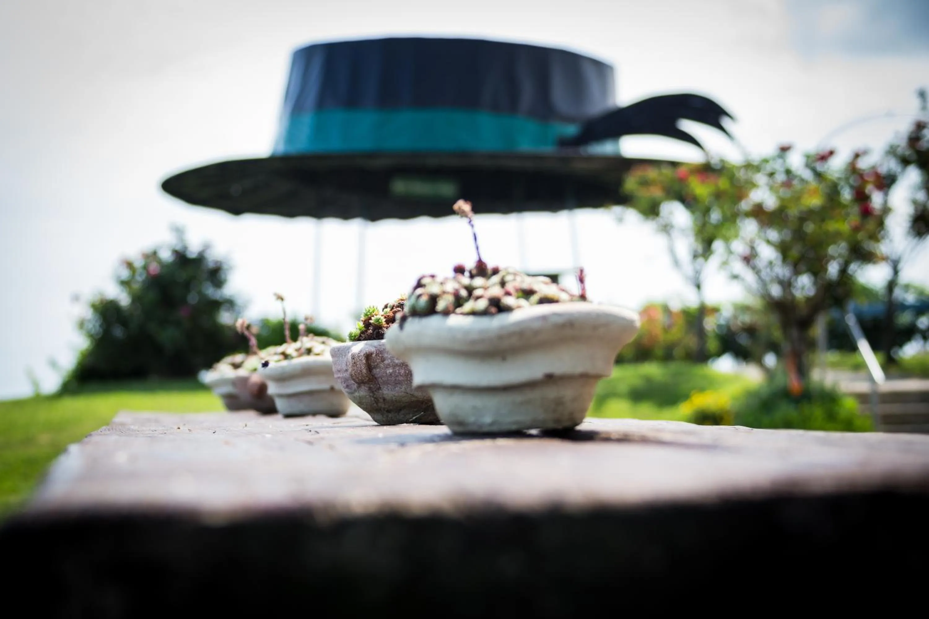 Garden in Panoramahotel Steirerland