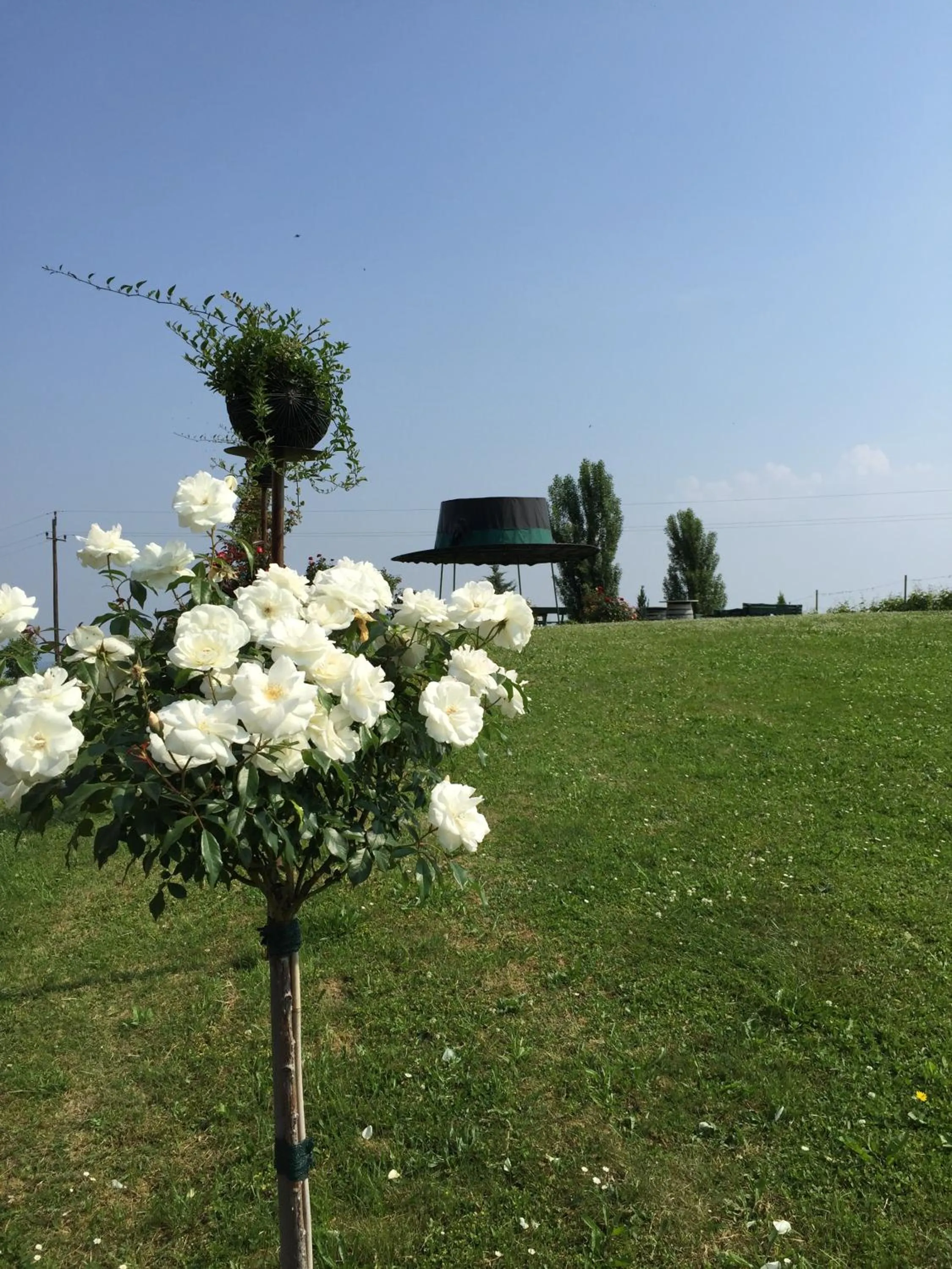 Garden in Panoramahotel Steirerland