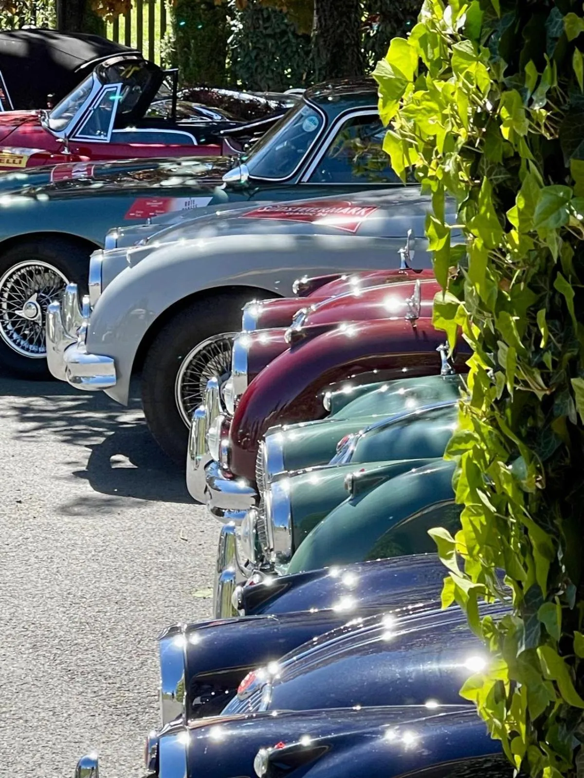 Parking in Panoramahotel Steirerland