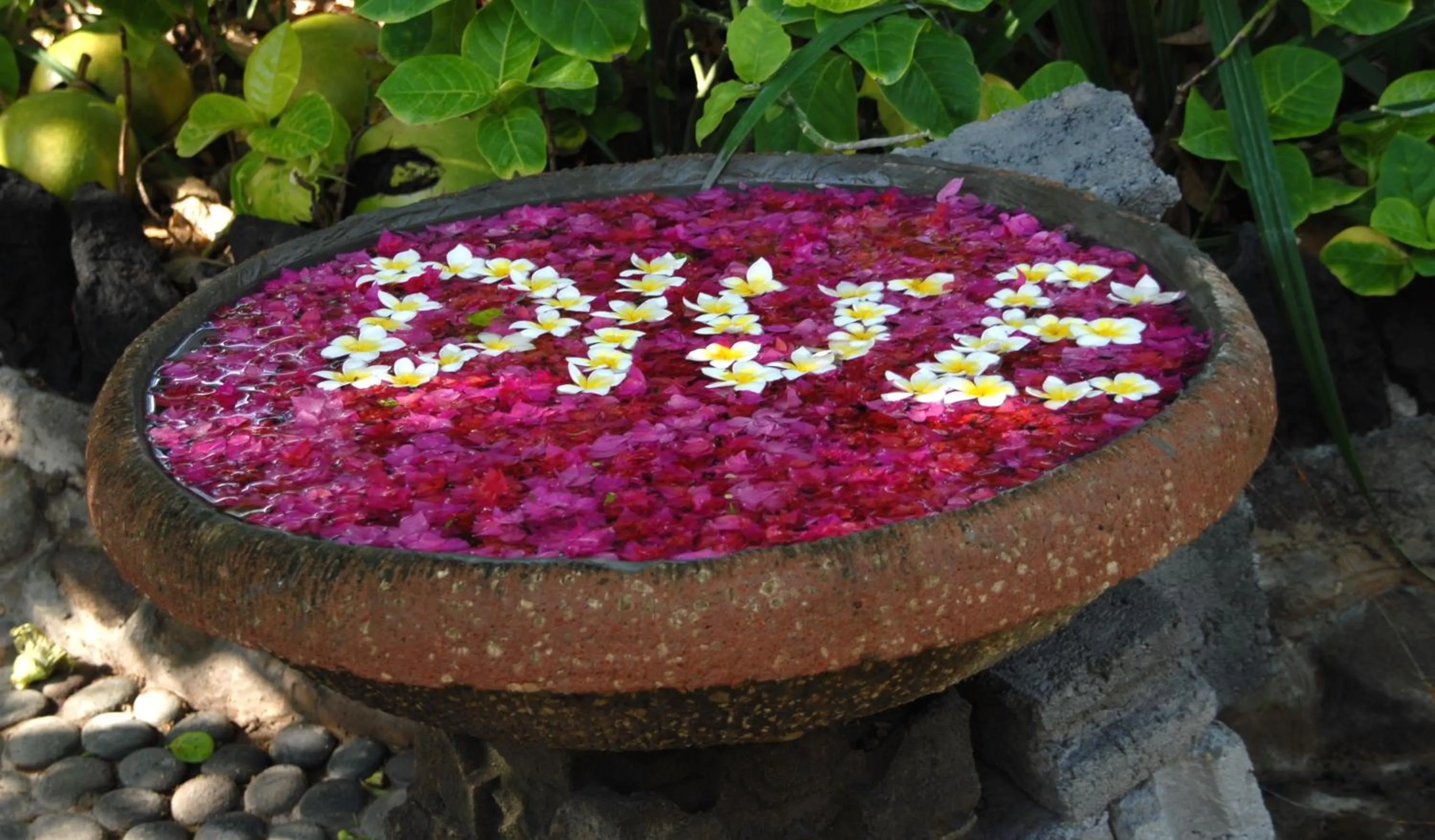 Property logo or sign in Amed Cafe & Hotel Kebun Wayan