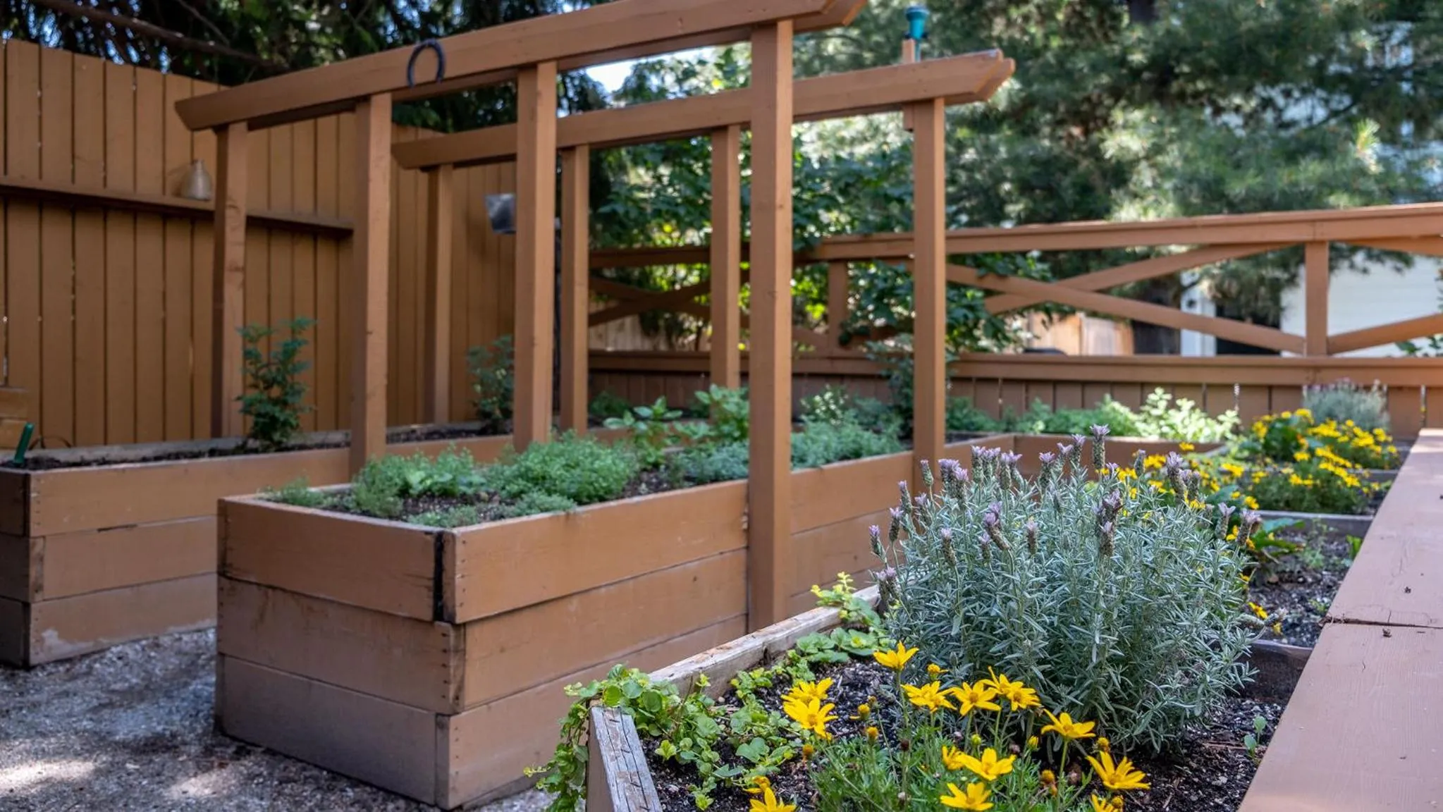 Garden view in Kelowna Bed & Breakfast - CHATHAM HOUSE