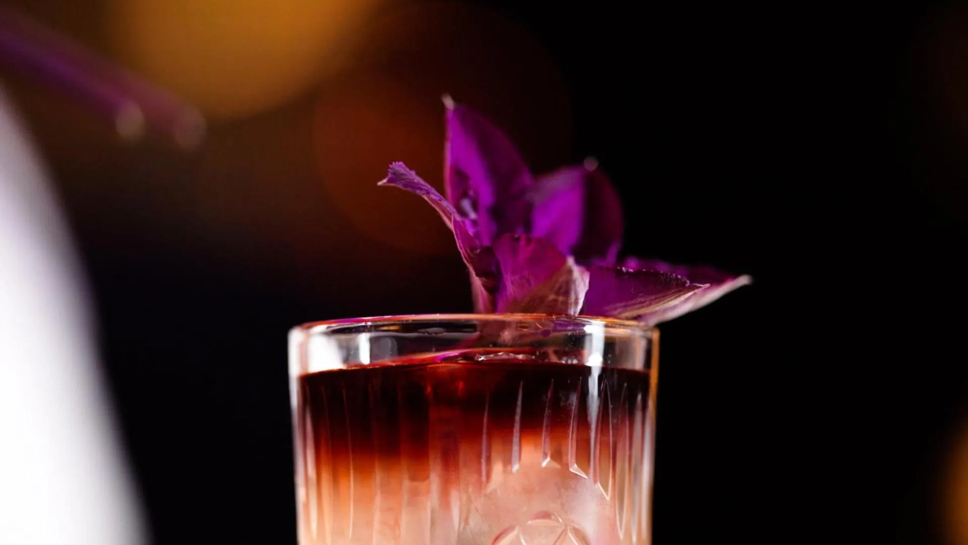 Lounge or bar in TORTUE Hamburg