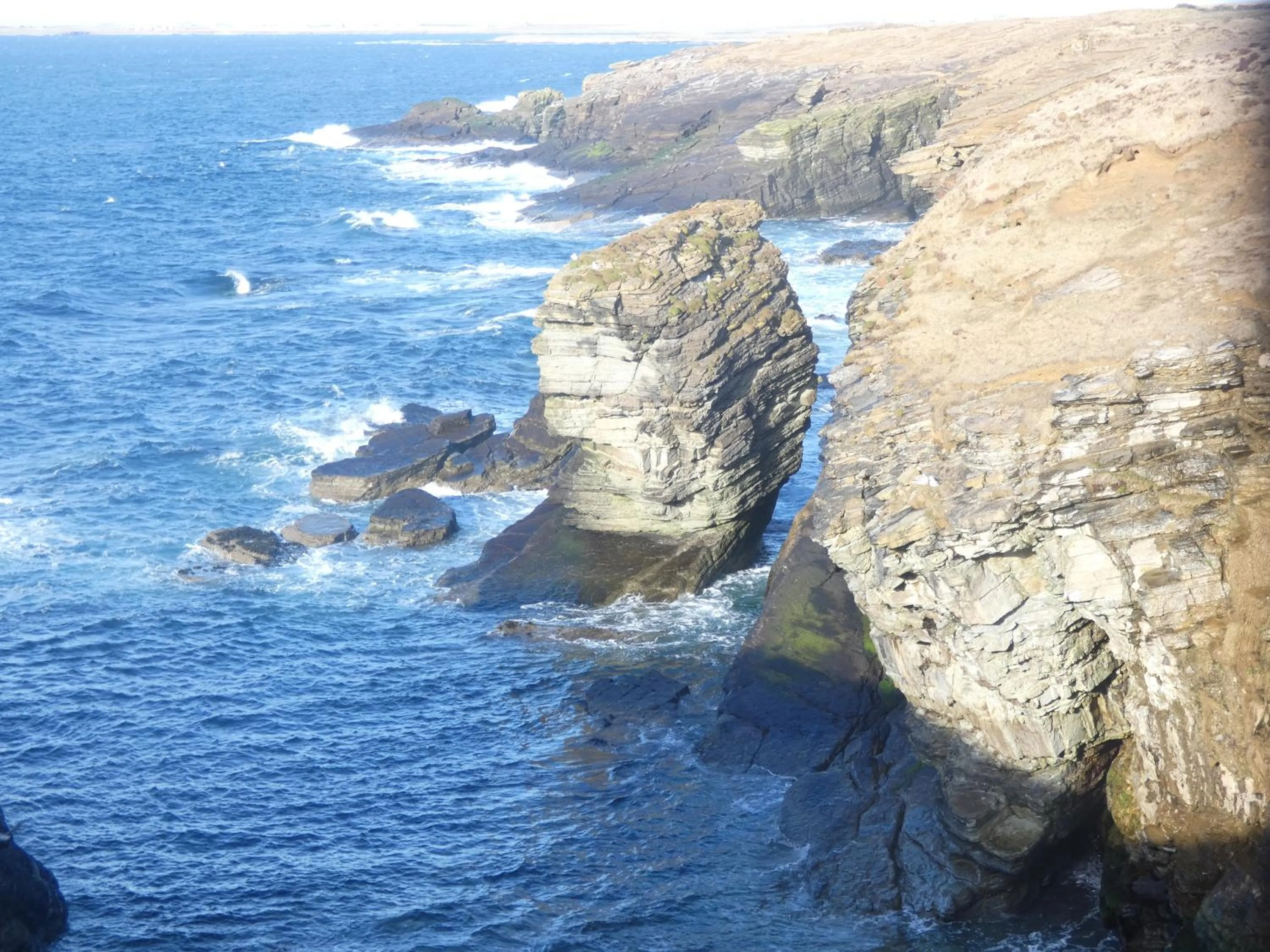 Beach in Braeswick B&B