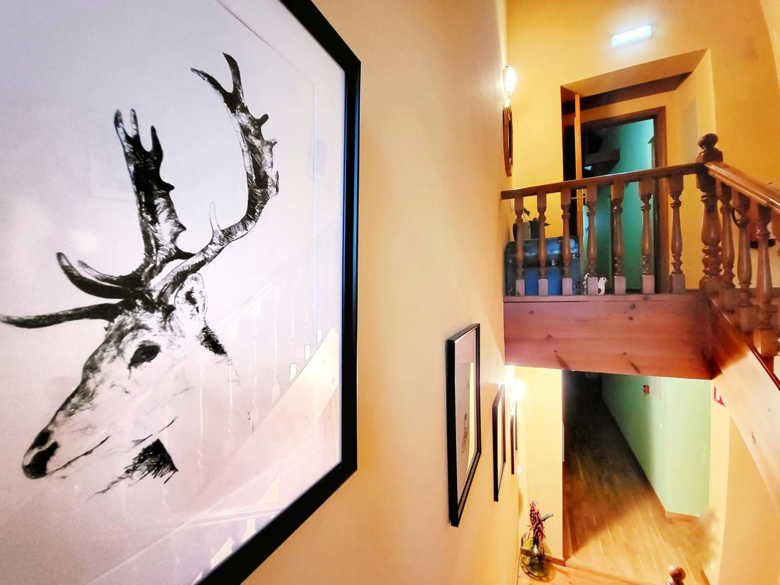 Area and facilities in La Biesca Sebreñu