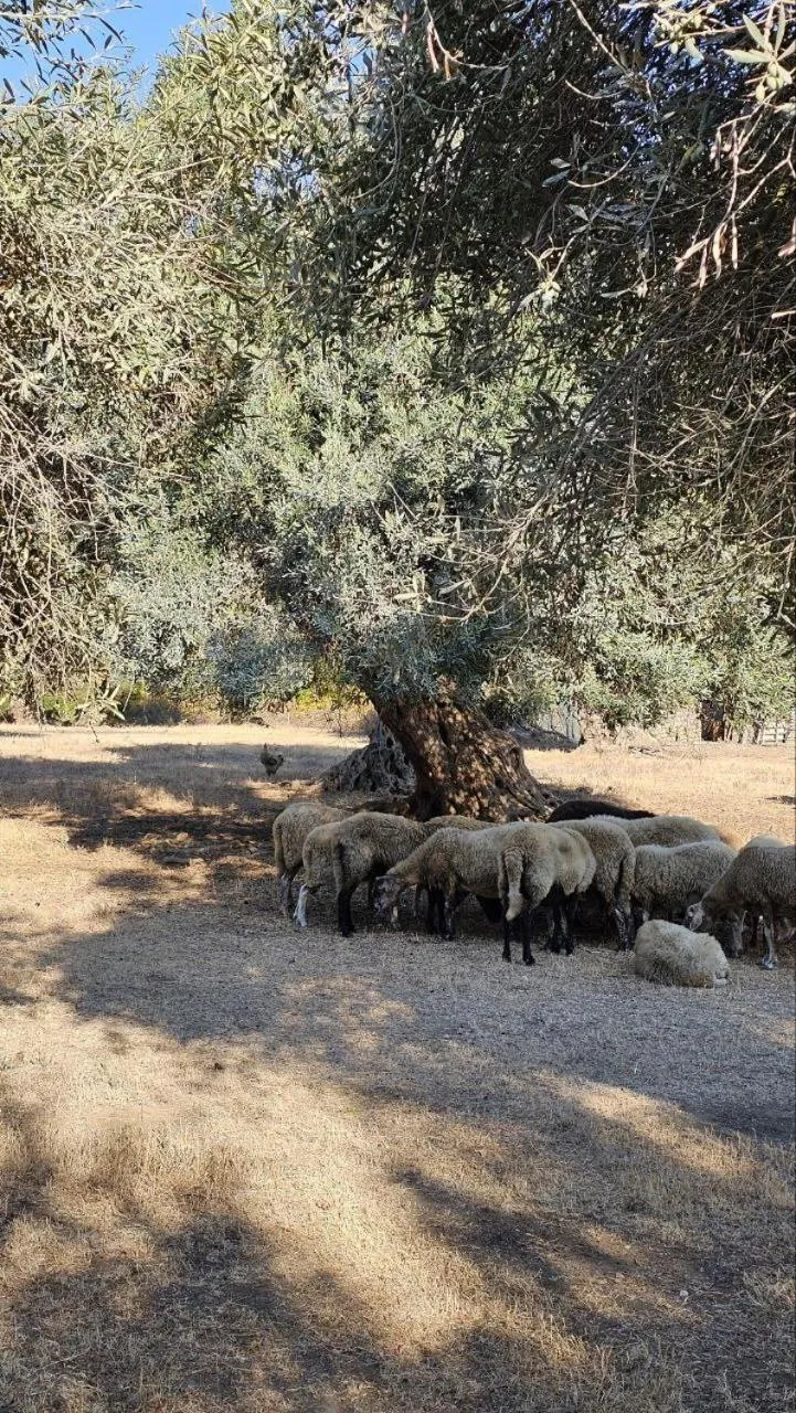 Day in Palmyra Studios