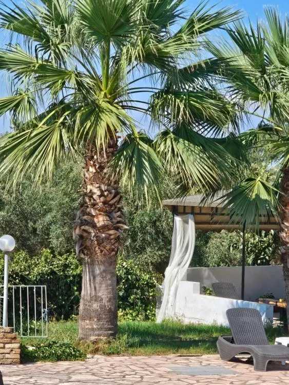 Day in Palmyra Studios