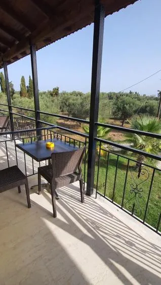 Day in Palmyra Studios