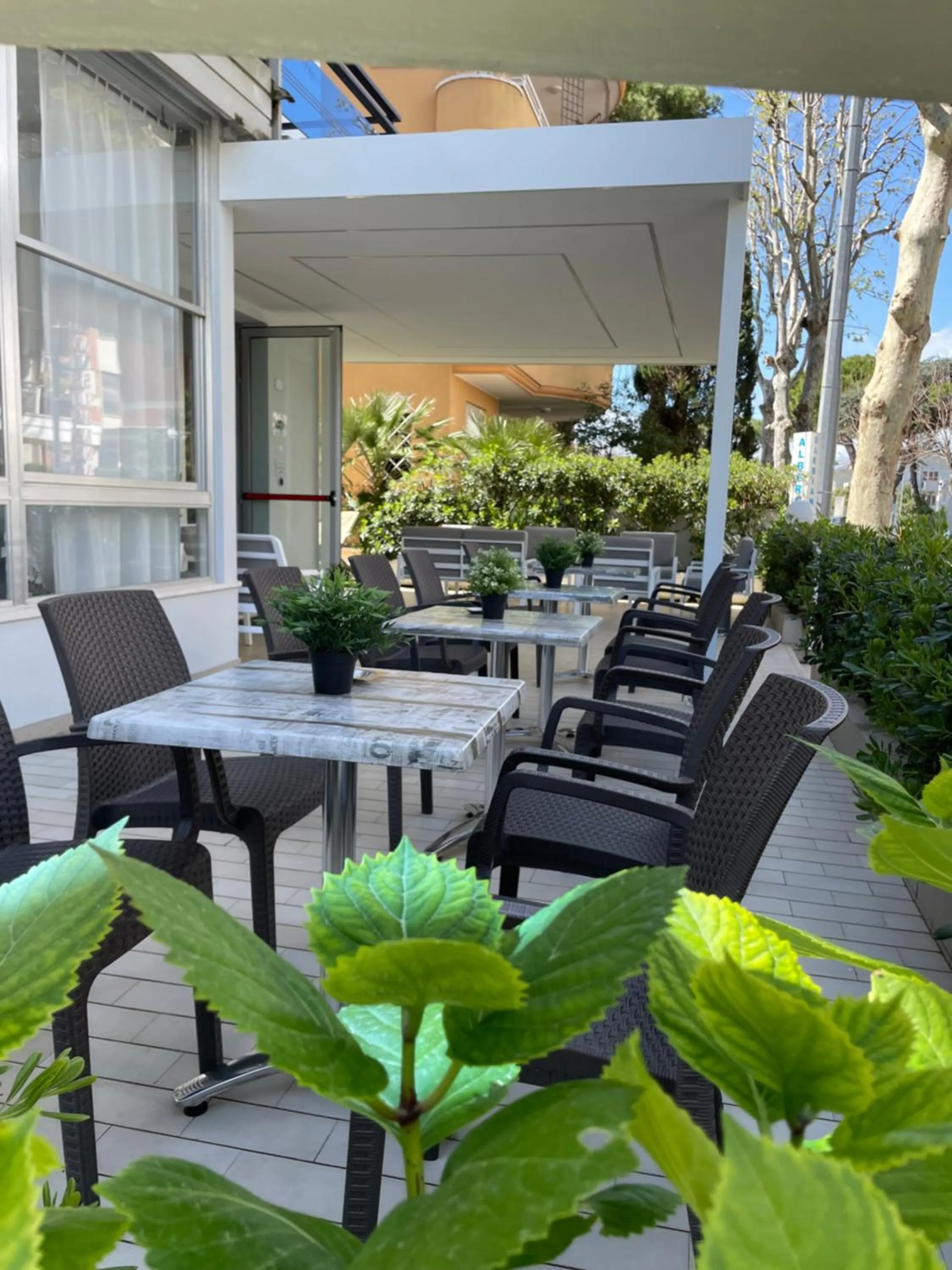 Patio in Hotel Barbiani