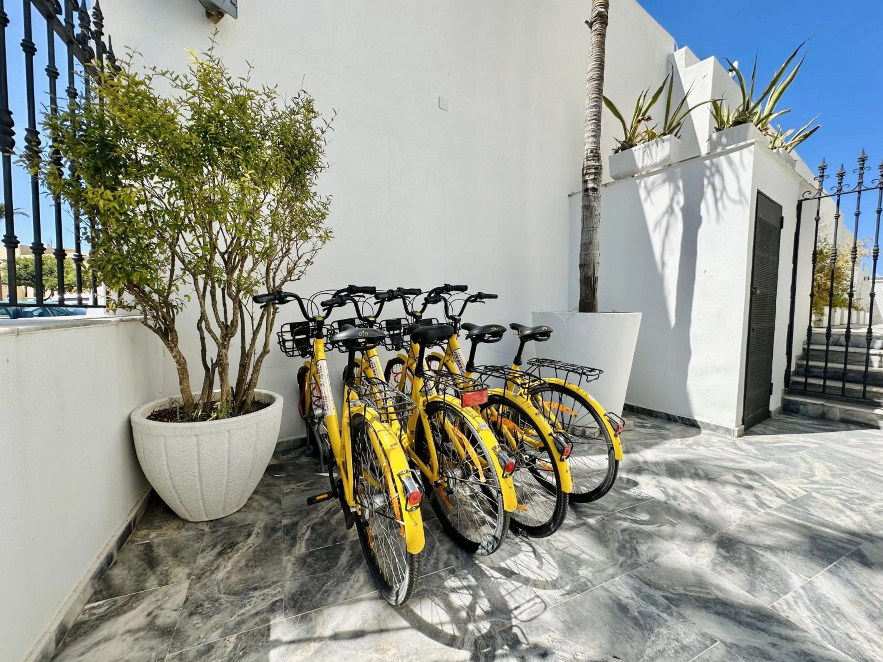 Cycling in Hotel Apartamentos Marina Luz