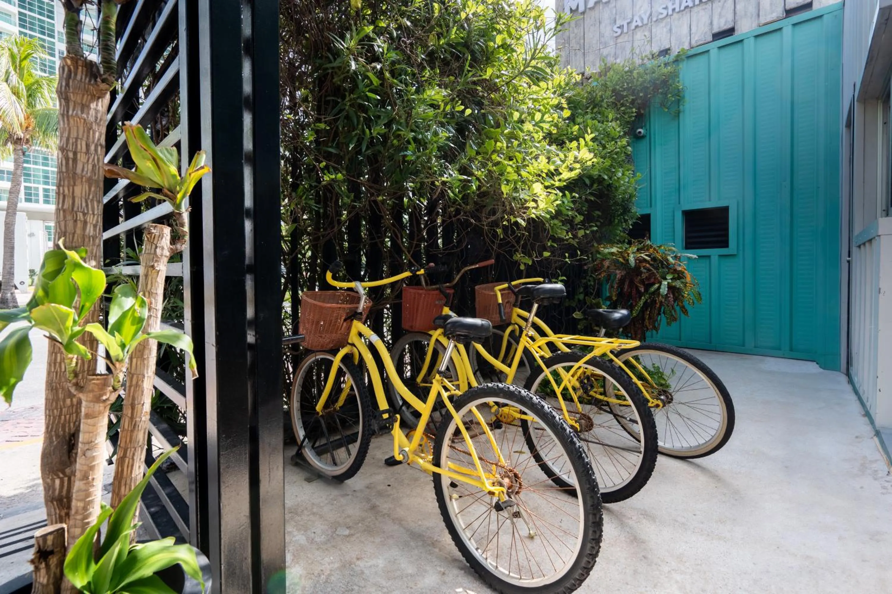 Day in Mayan Monkey Cancun - Social Hotel