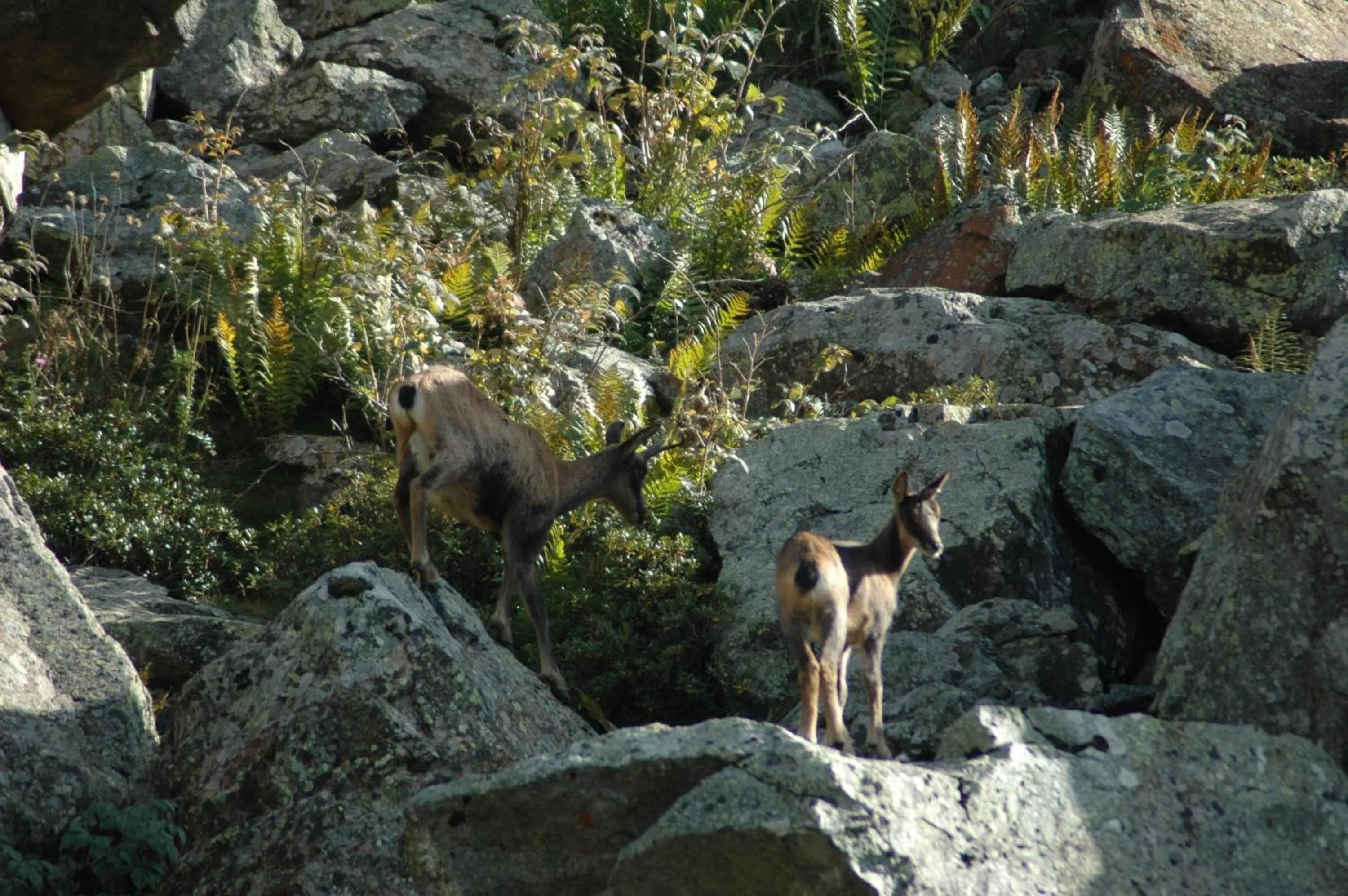 Natural landscape in Appart Le Chili- Quartier thermal- Parc remarquable - Linge fourni