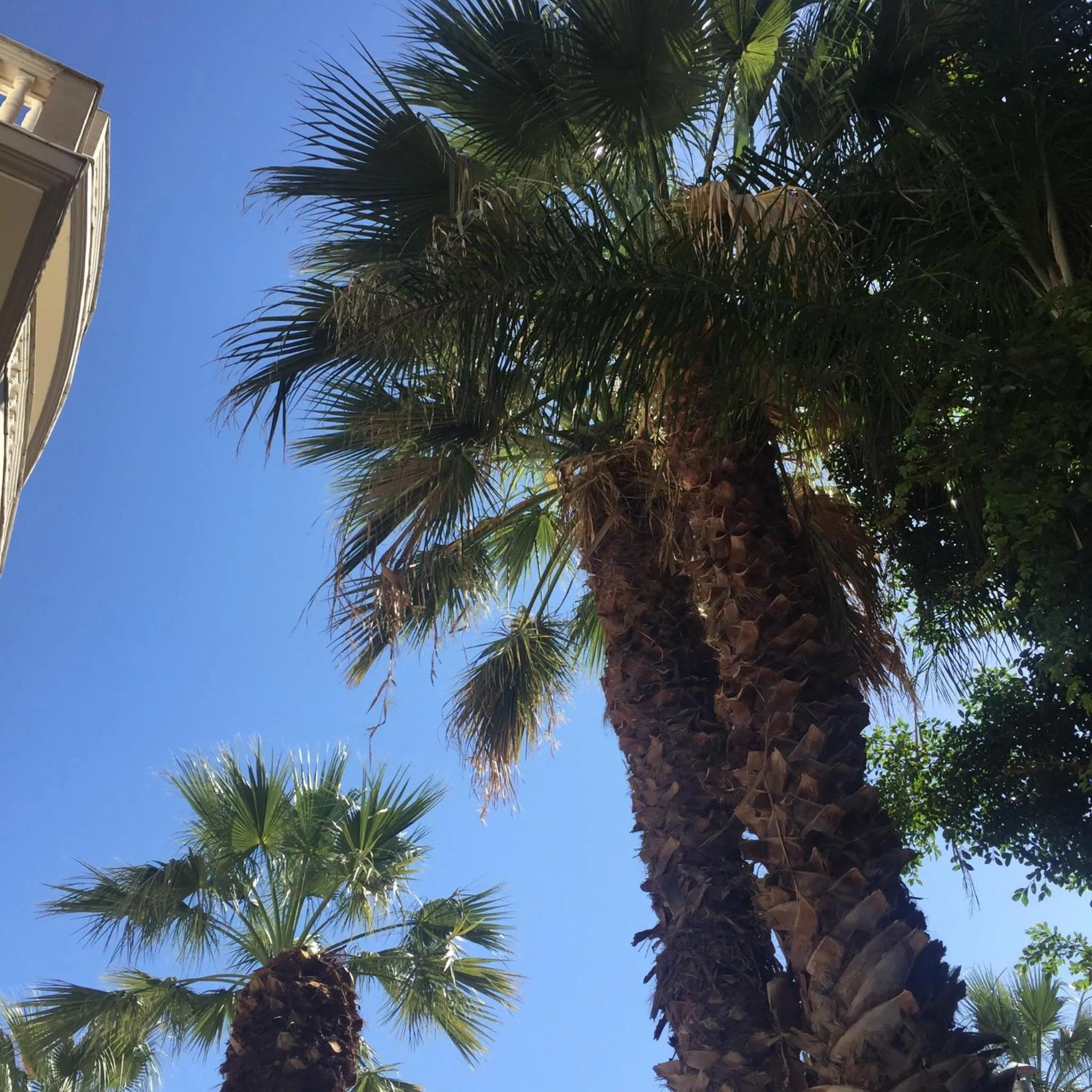 Alley Boutique Hotel and Spa