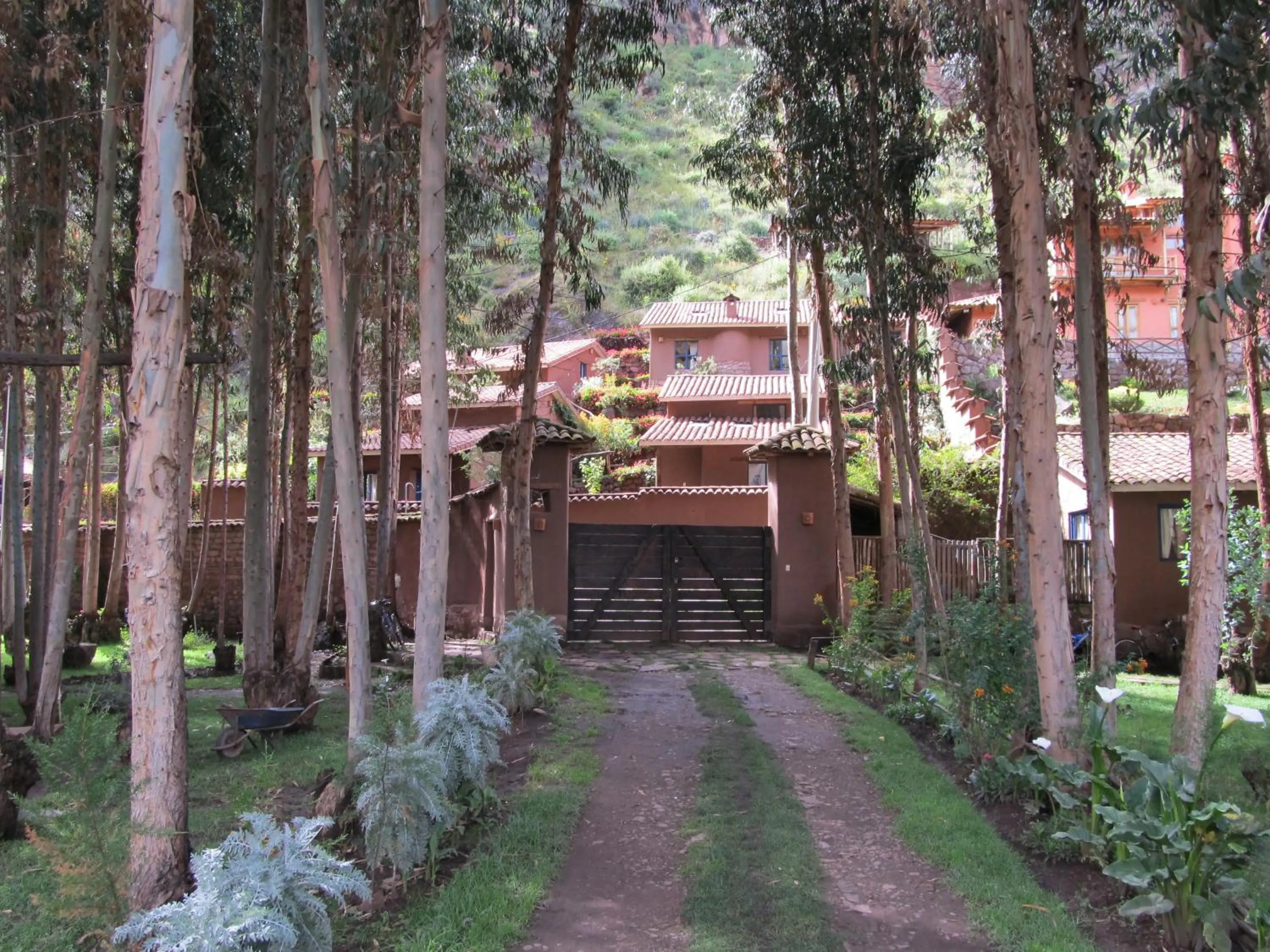 Garden in Melissa Wasi