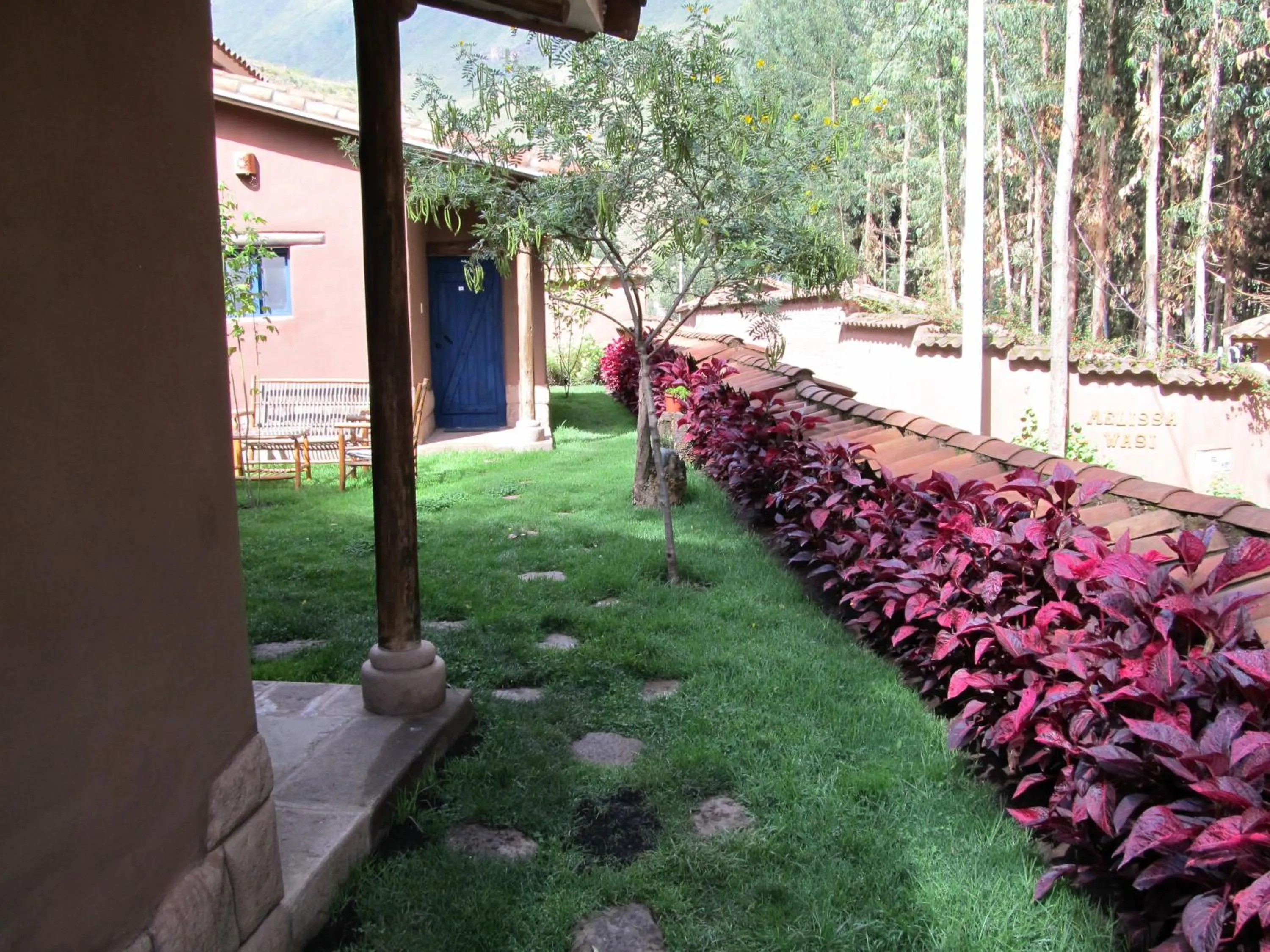 Garden in Melissa Wasi