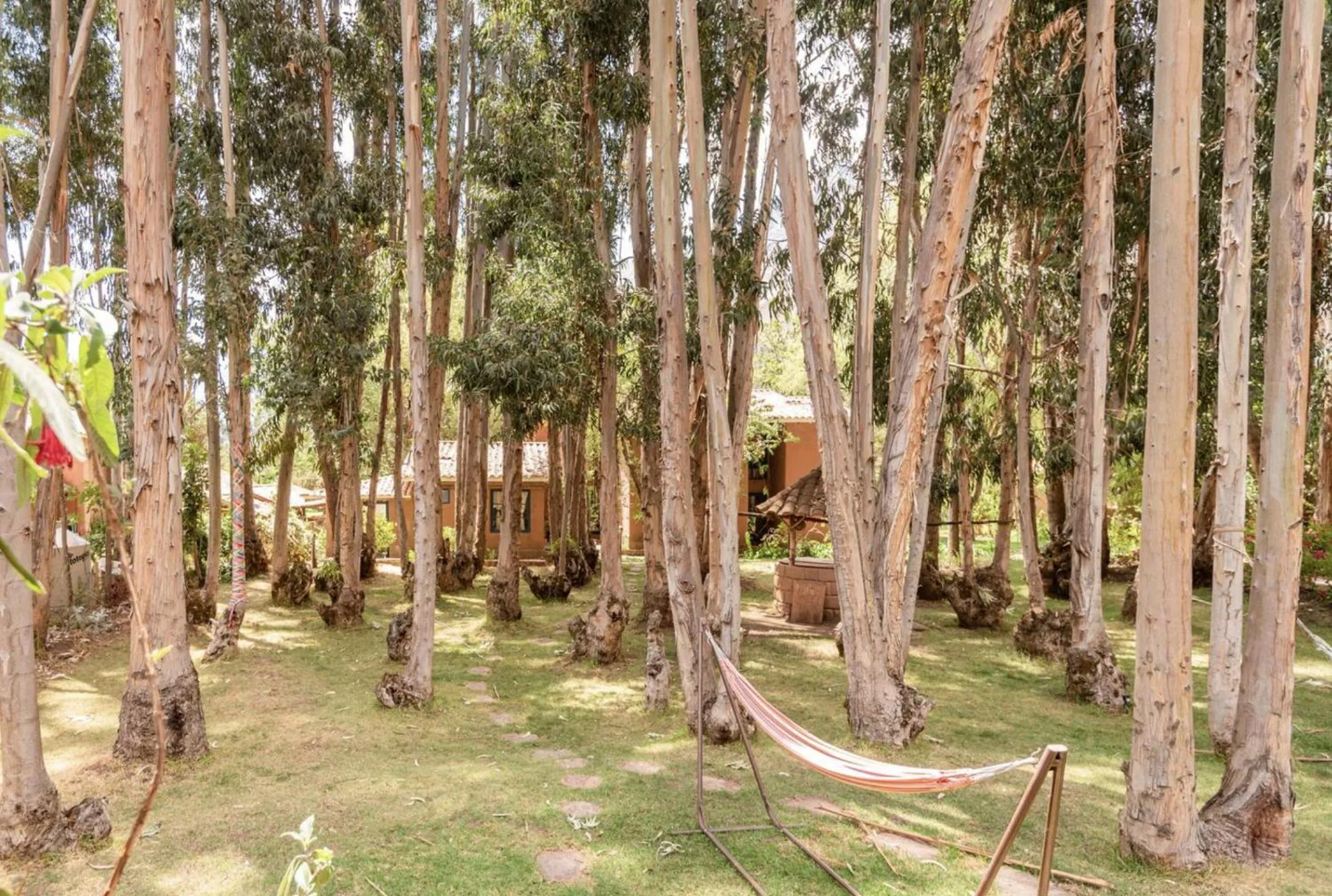 Garden in Melissa Wasi