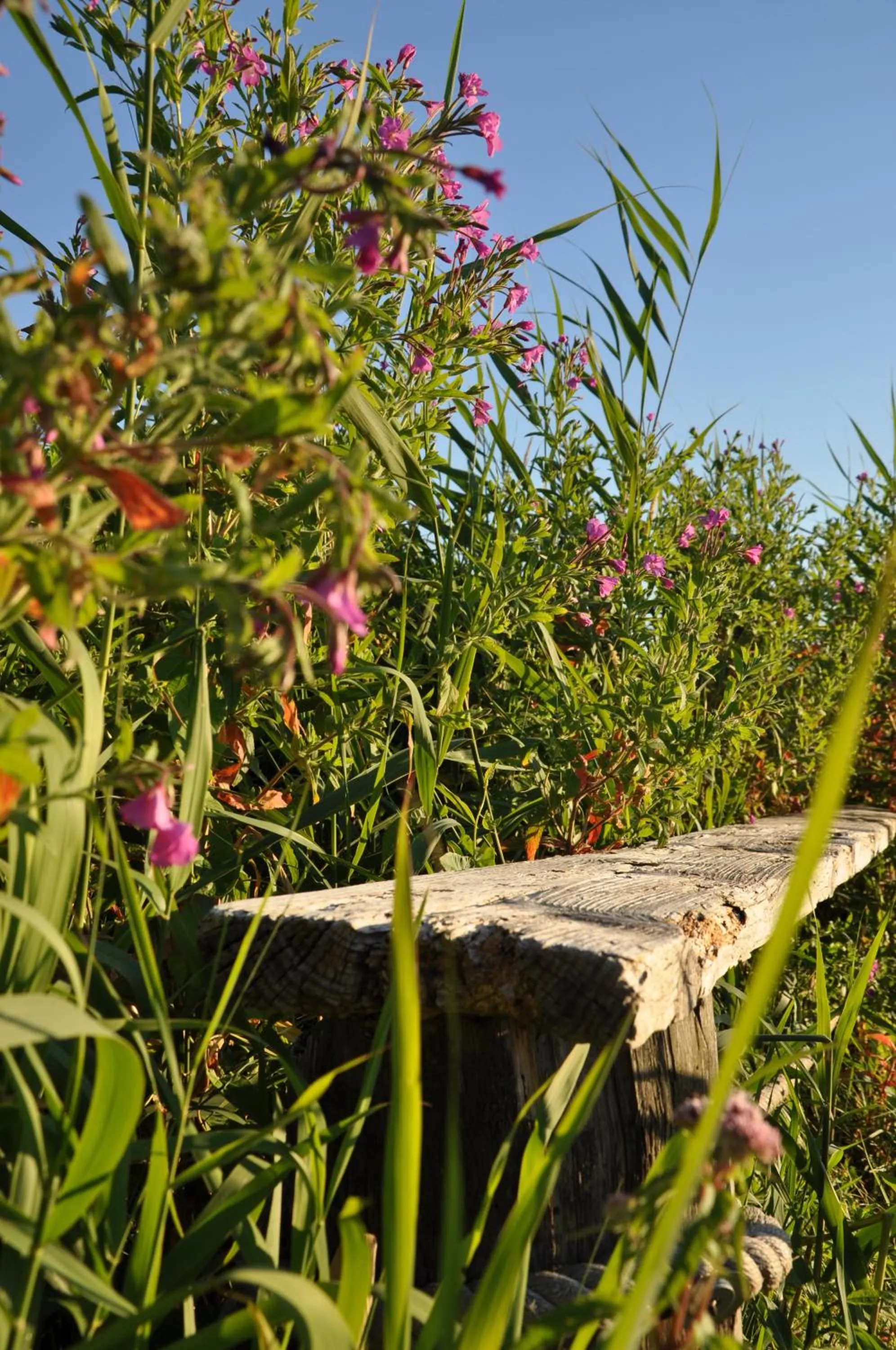 Day in SEETELHOTEL Nautic Usedom Hotel & Spa das Hotel für Wellness & Genuss auf Usedom