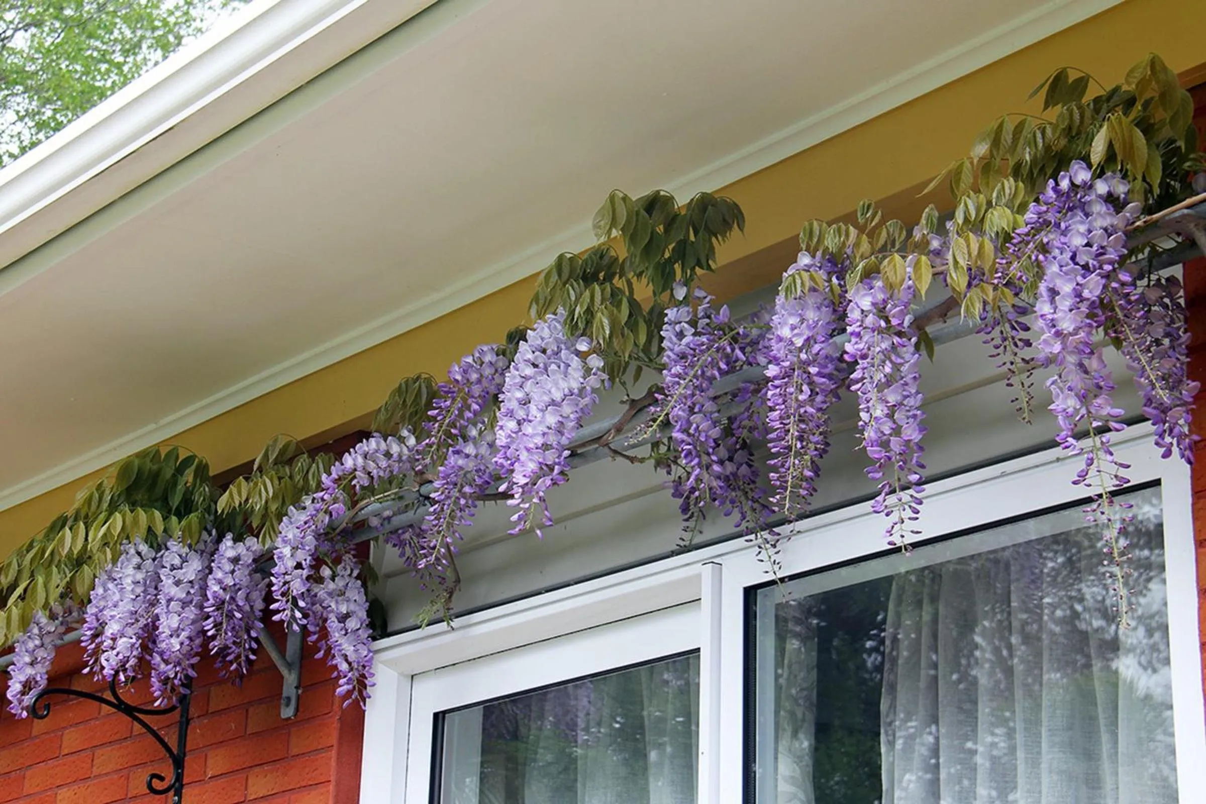 Garden in Brecon Pond Bed & Breakfast