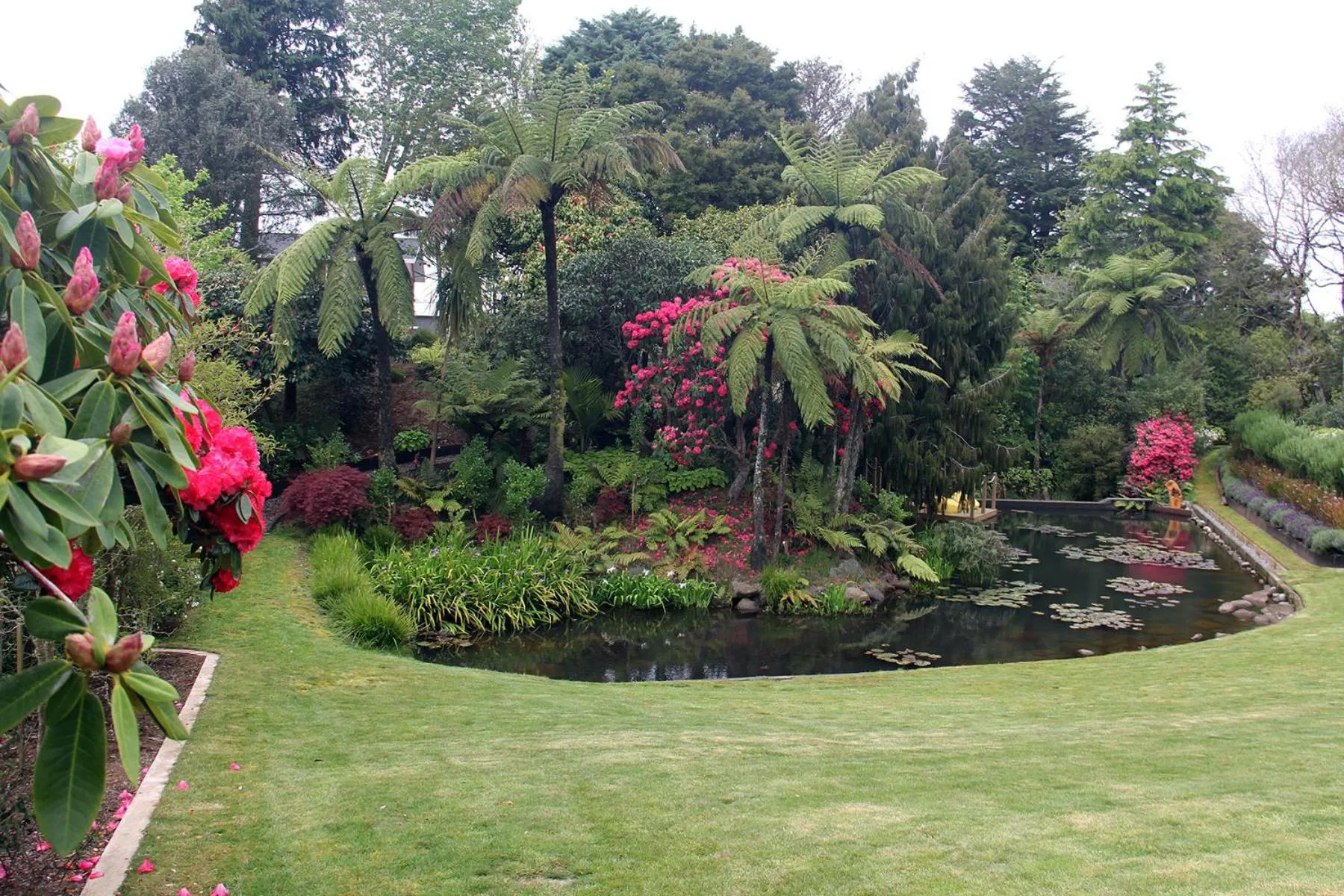 Garden in Brecon Pond Bed & Breakfast