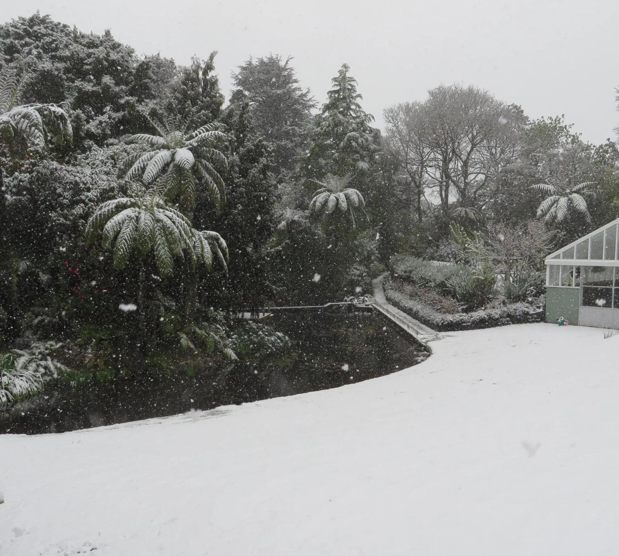 Winter in Brecon Pond Bed & Breakfast