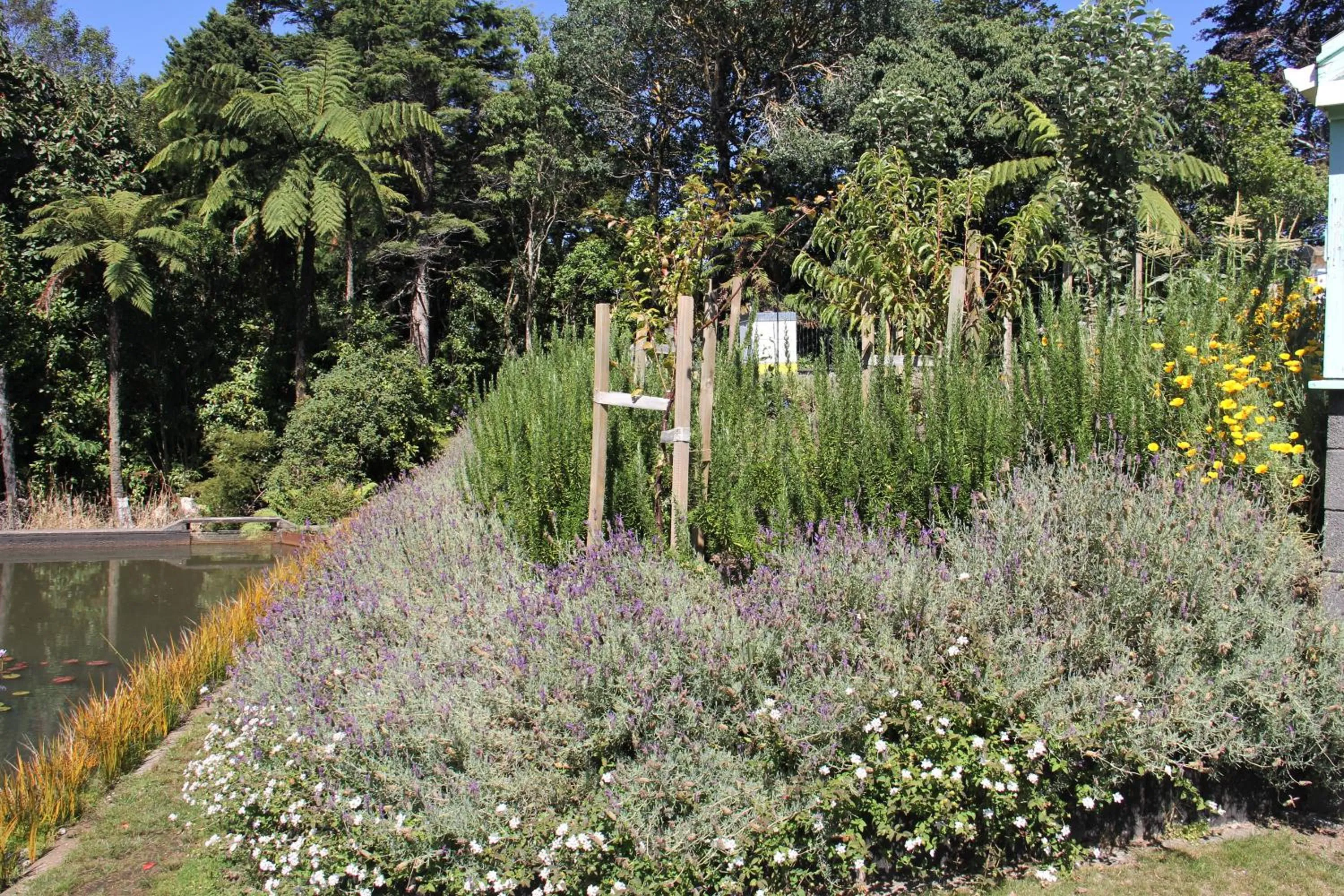 Garden in Brecon Pond Bed & Breakfast
