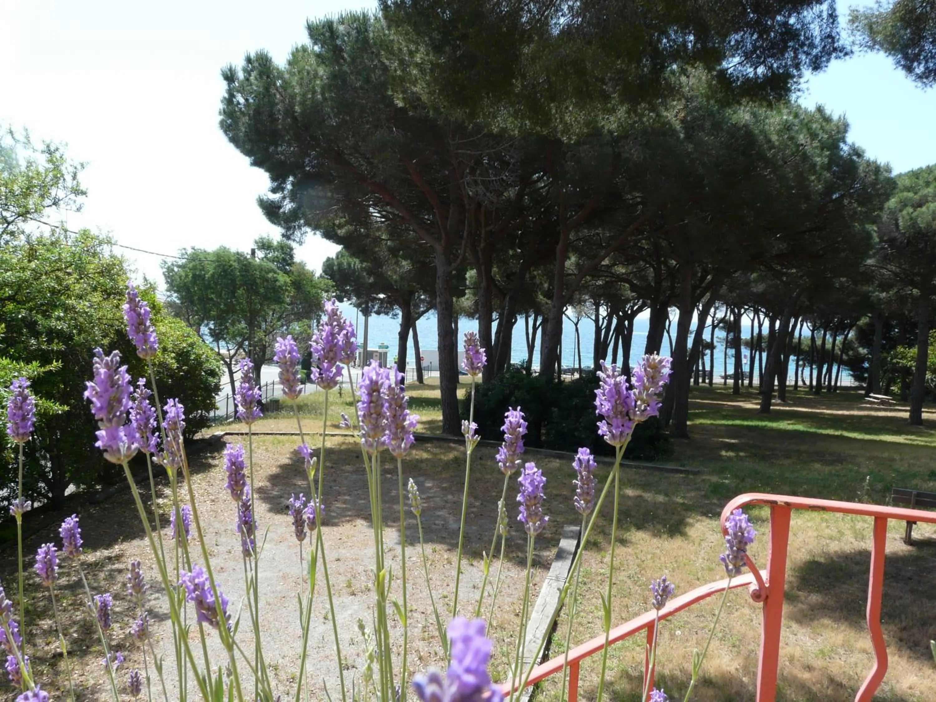 Garden in La Casa Mia