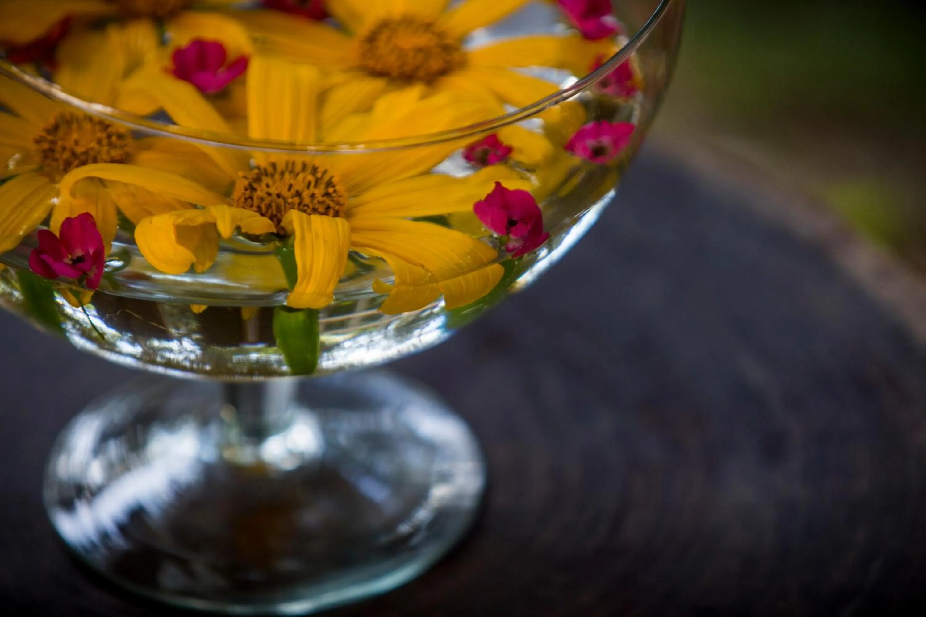 Decorative detail in Villa Rica Pousada