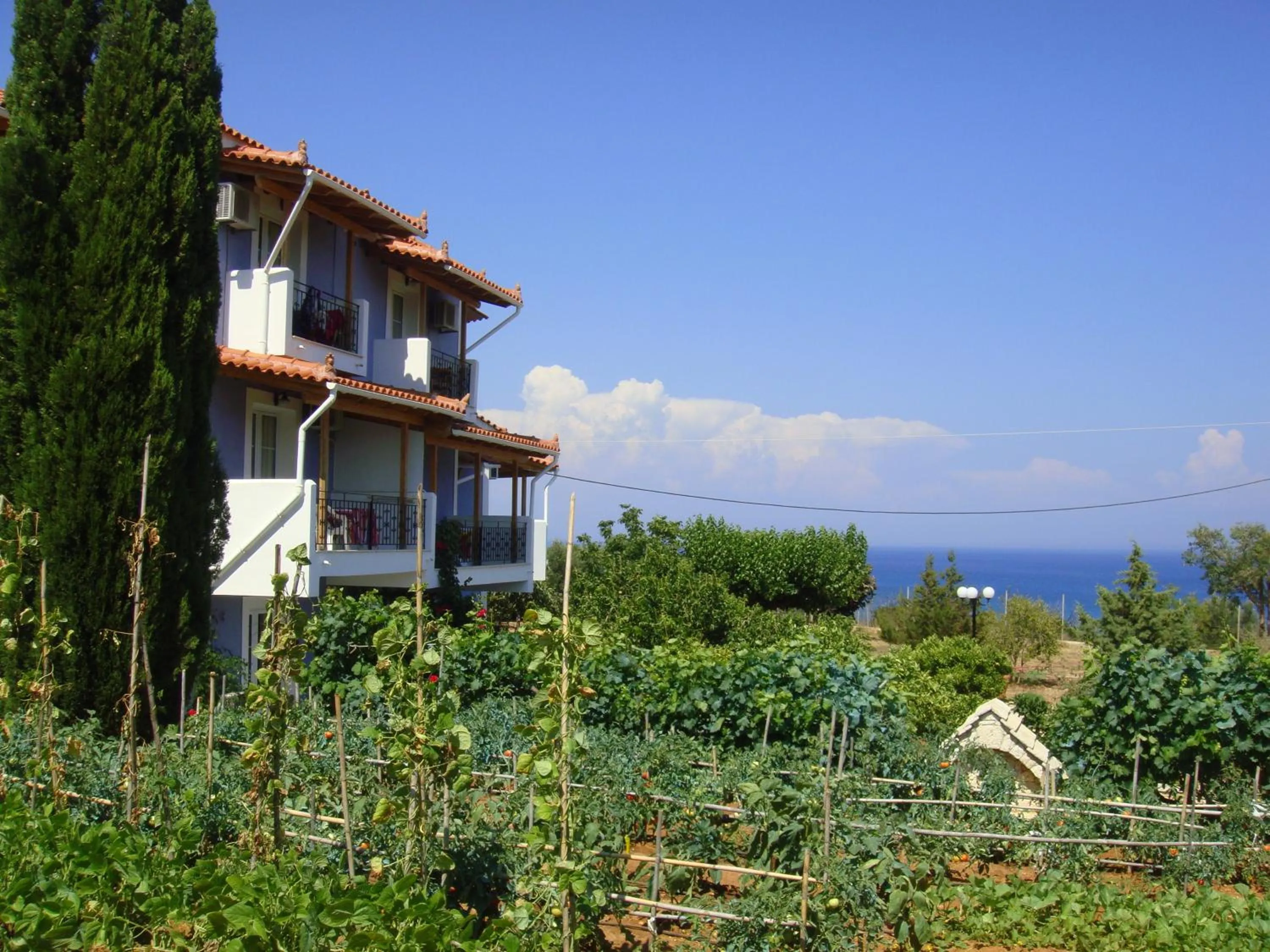 Bird's eye view in Villa Eliza