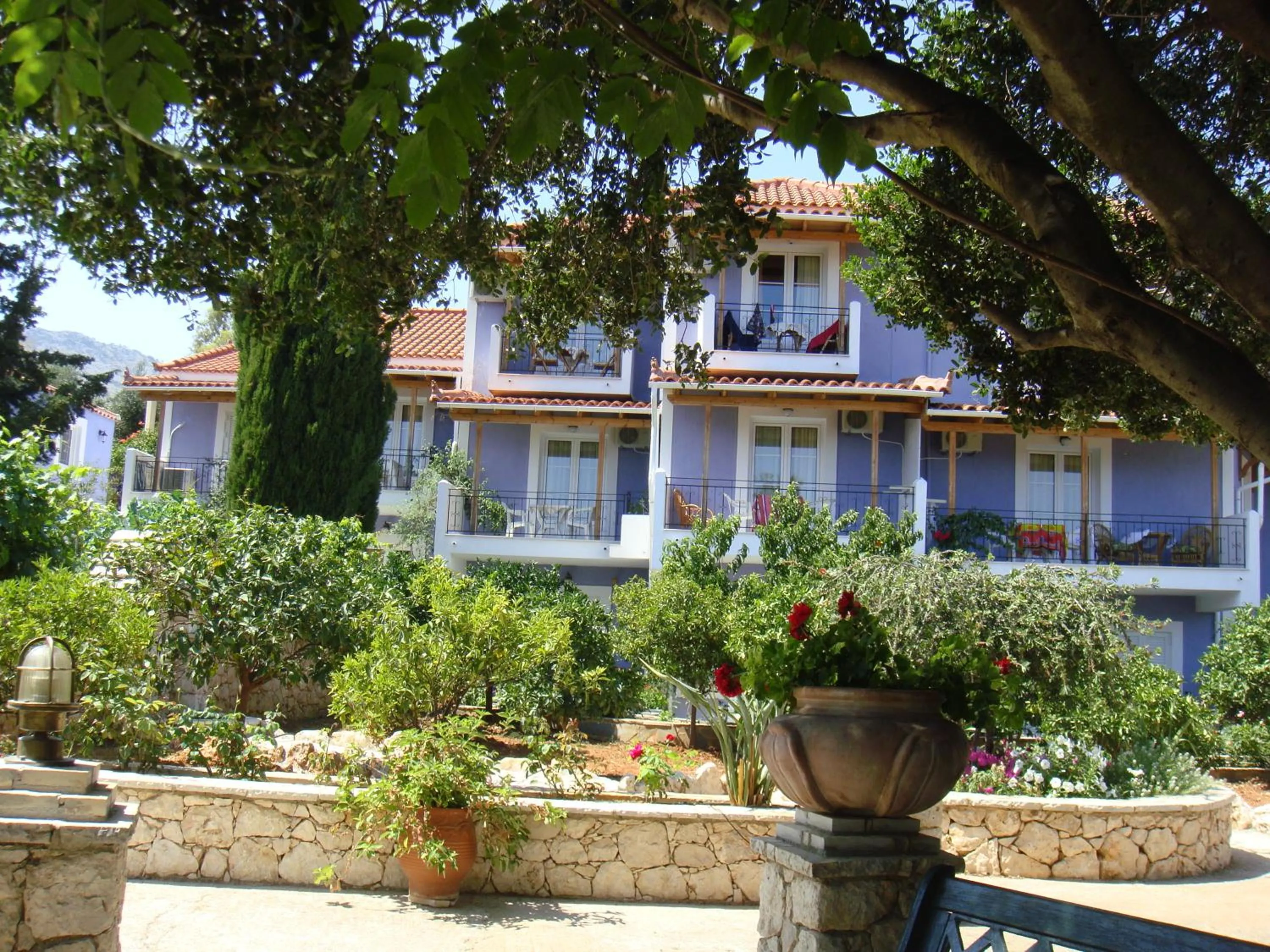 Property building in Villa Eliza