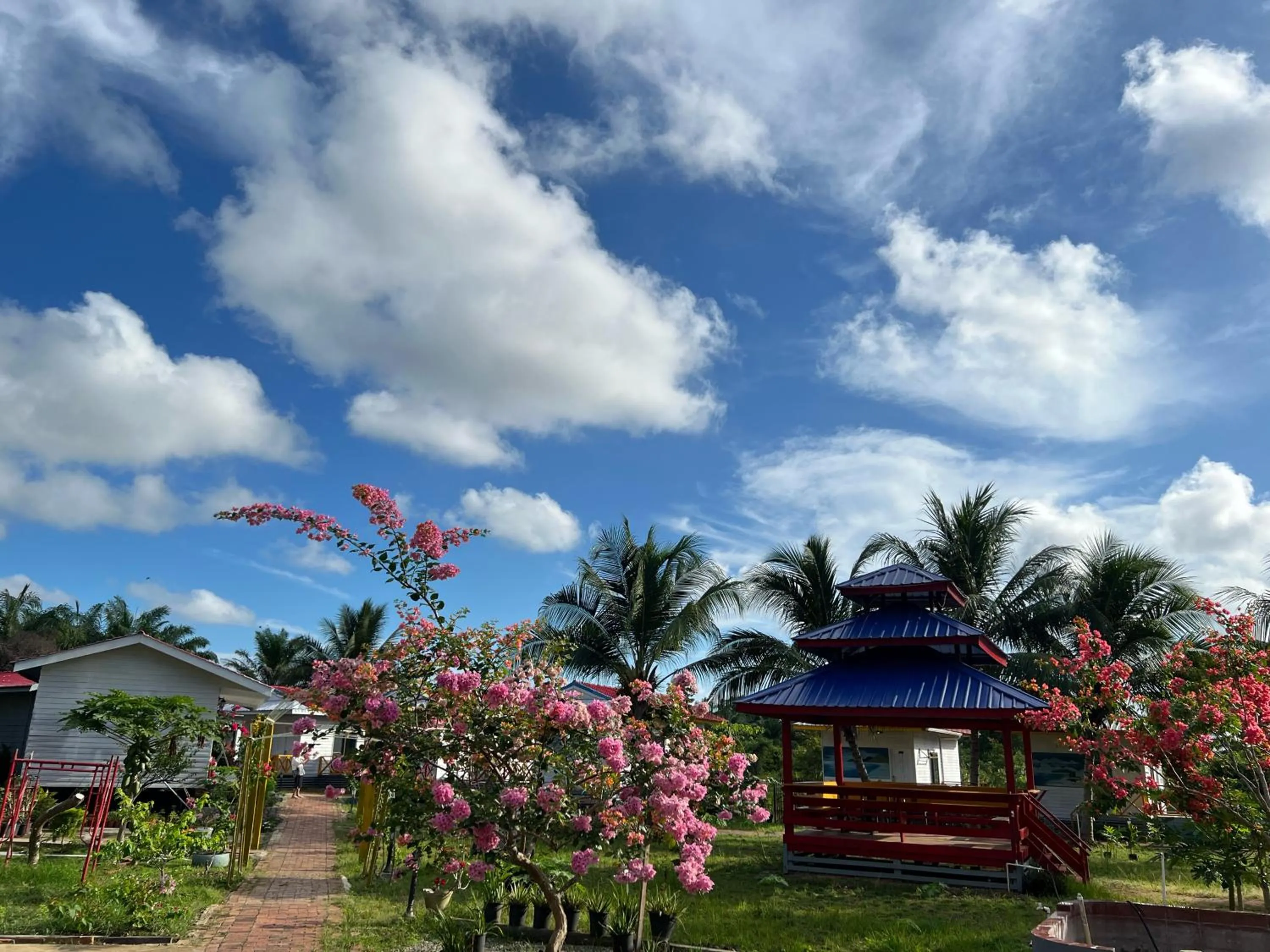 Coconut Garden Resort仙本那顺德人家棕榈园