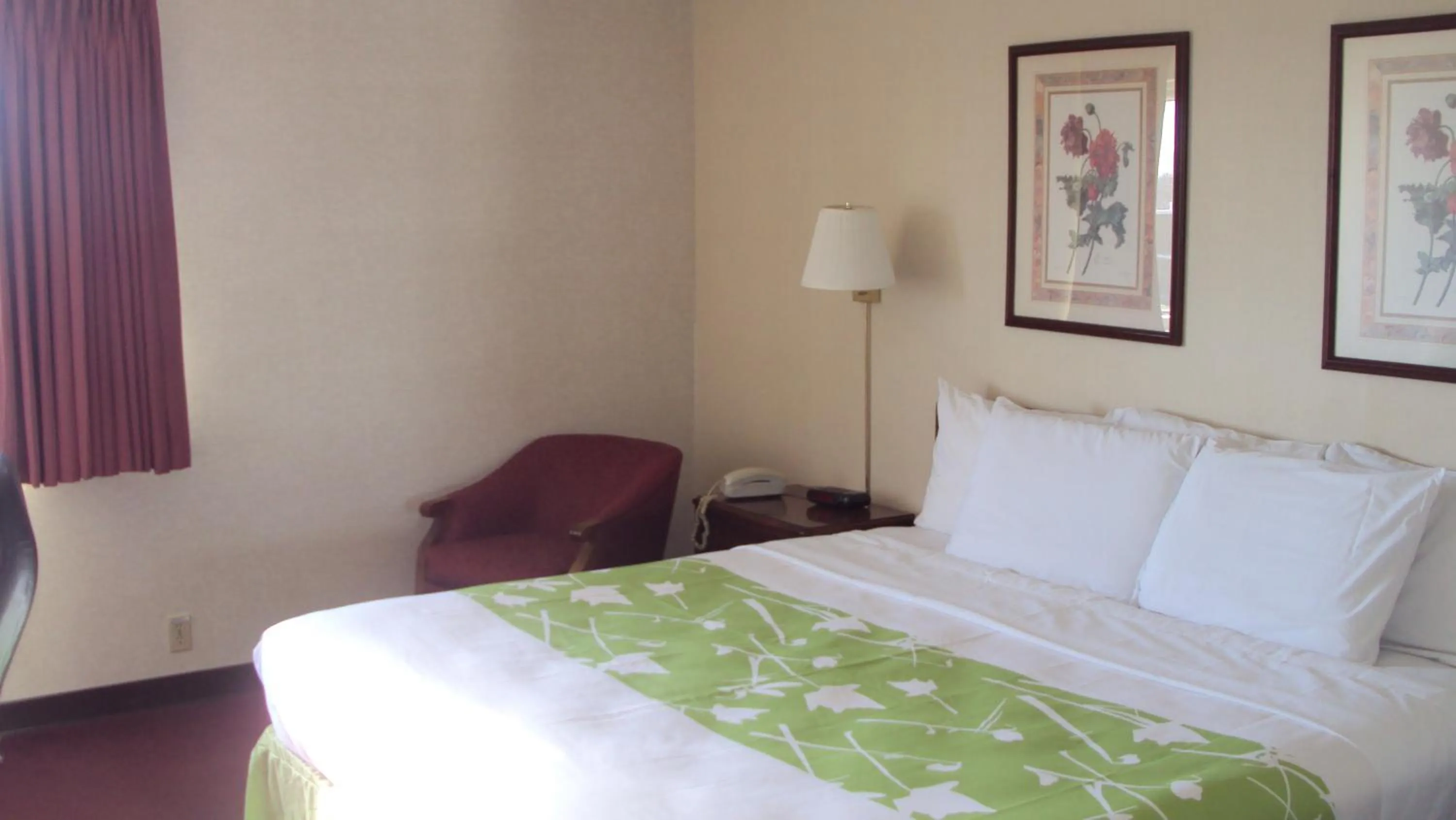 Deluxe King Room in Extended Stay Warrenton Inn