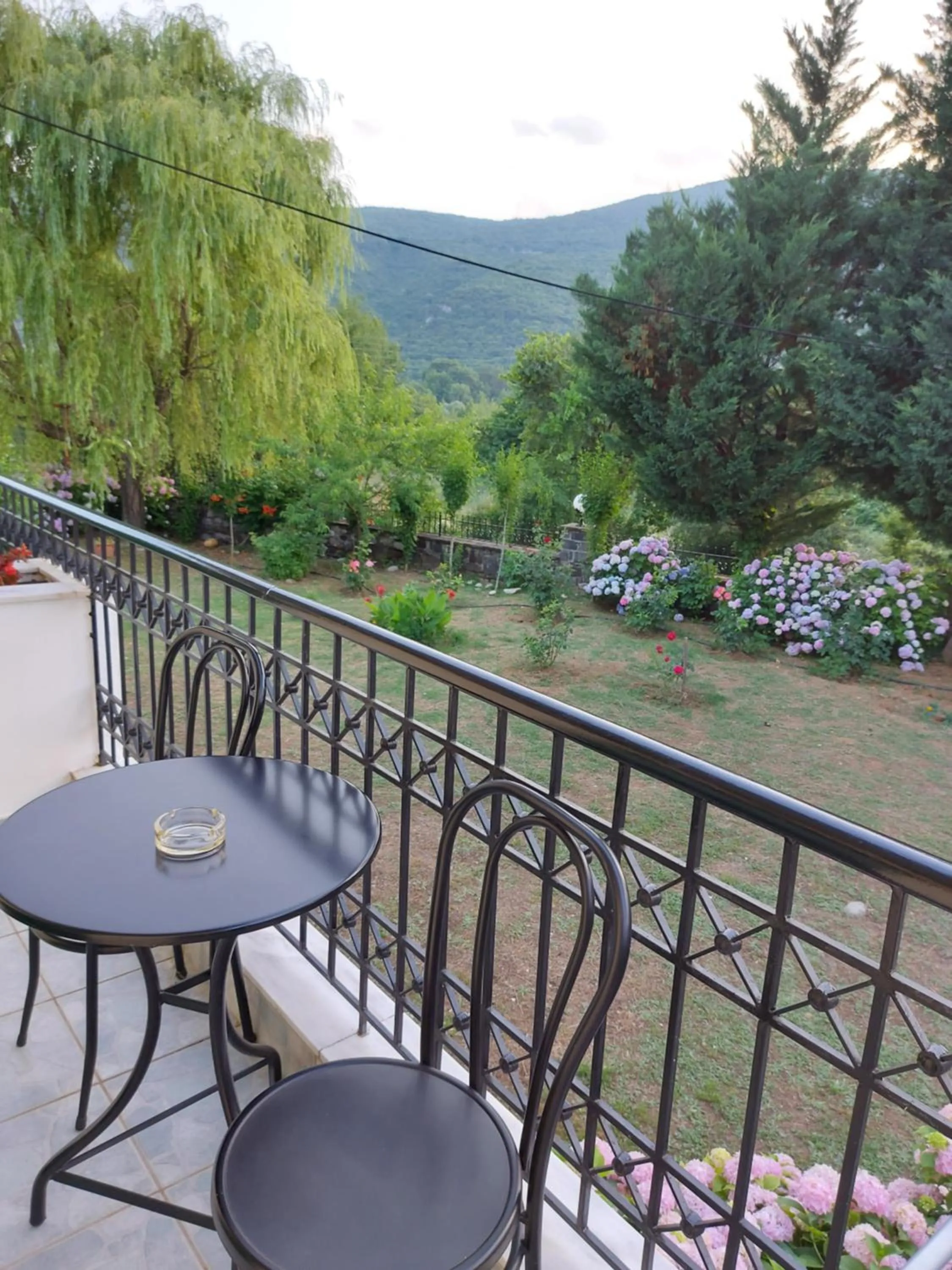 Balcony/Terrace in Hotel Spiridoula