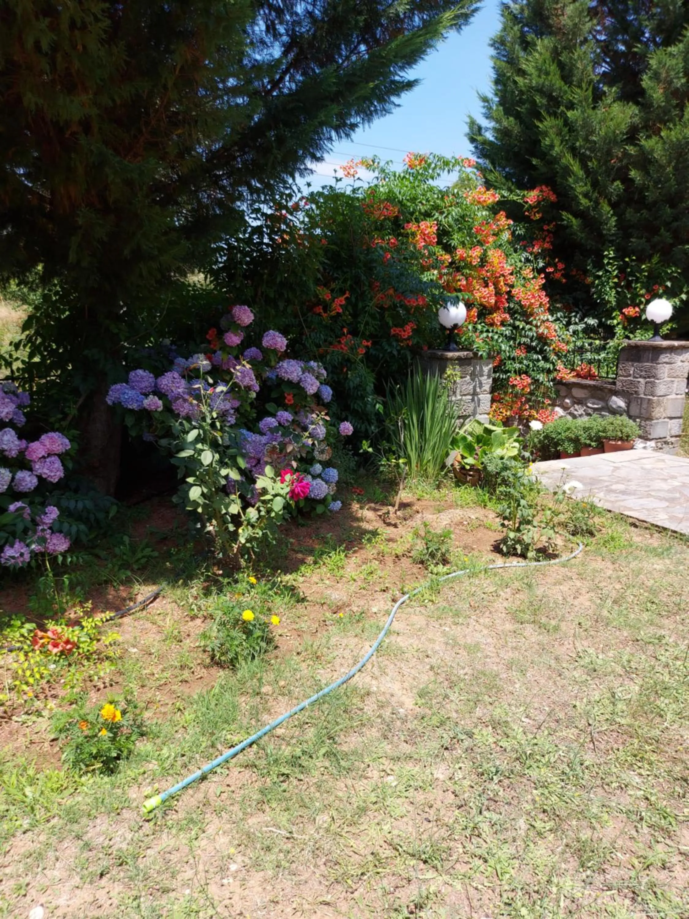 Garden in Hotel Spiridoula