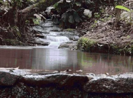 Pousada e Spa Vrindávana