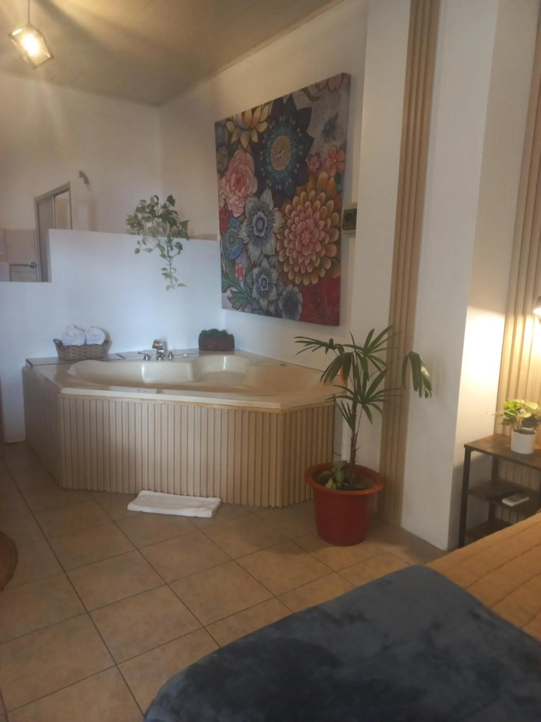 Photo of the whole room in Hotel Las Colinas