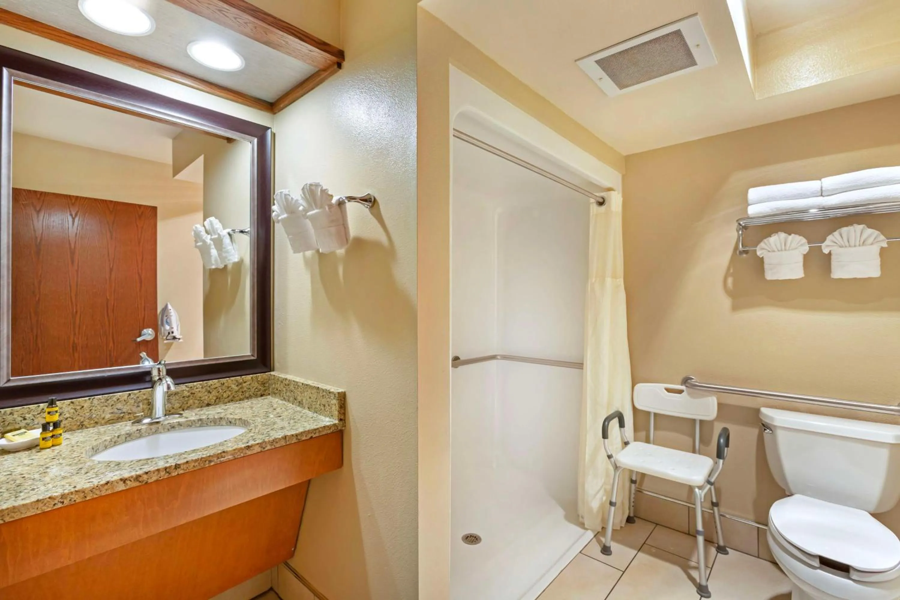 Bathroom in Best Western Plus GranTree Inn