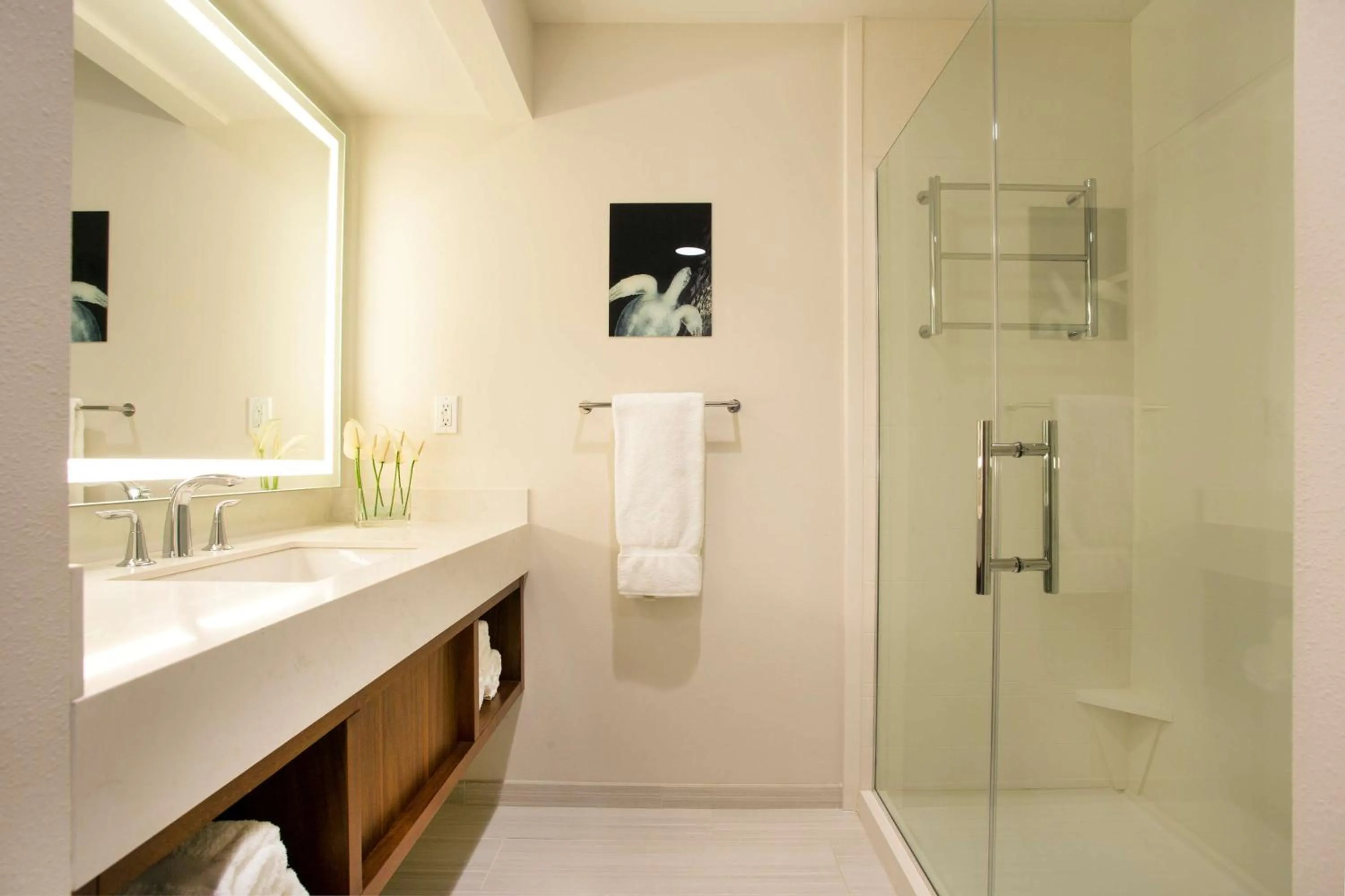 Bathroom in Hilton Garden Inn Kauai Wailua Bay, HI